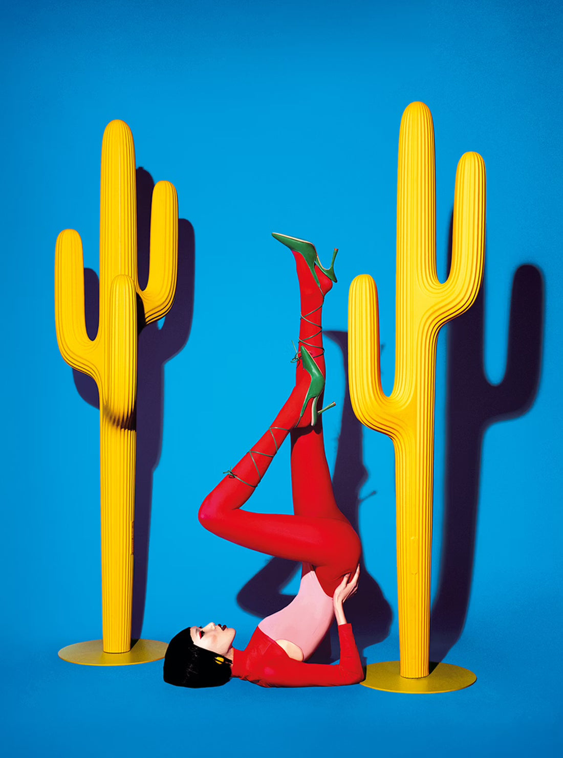 Perchero SAGUARO, varios colores