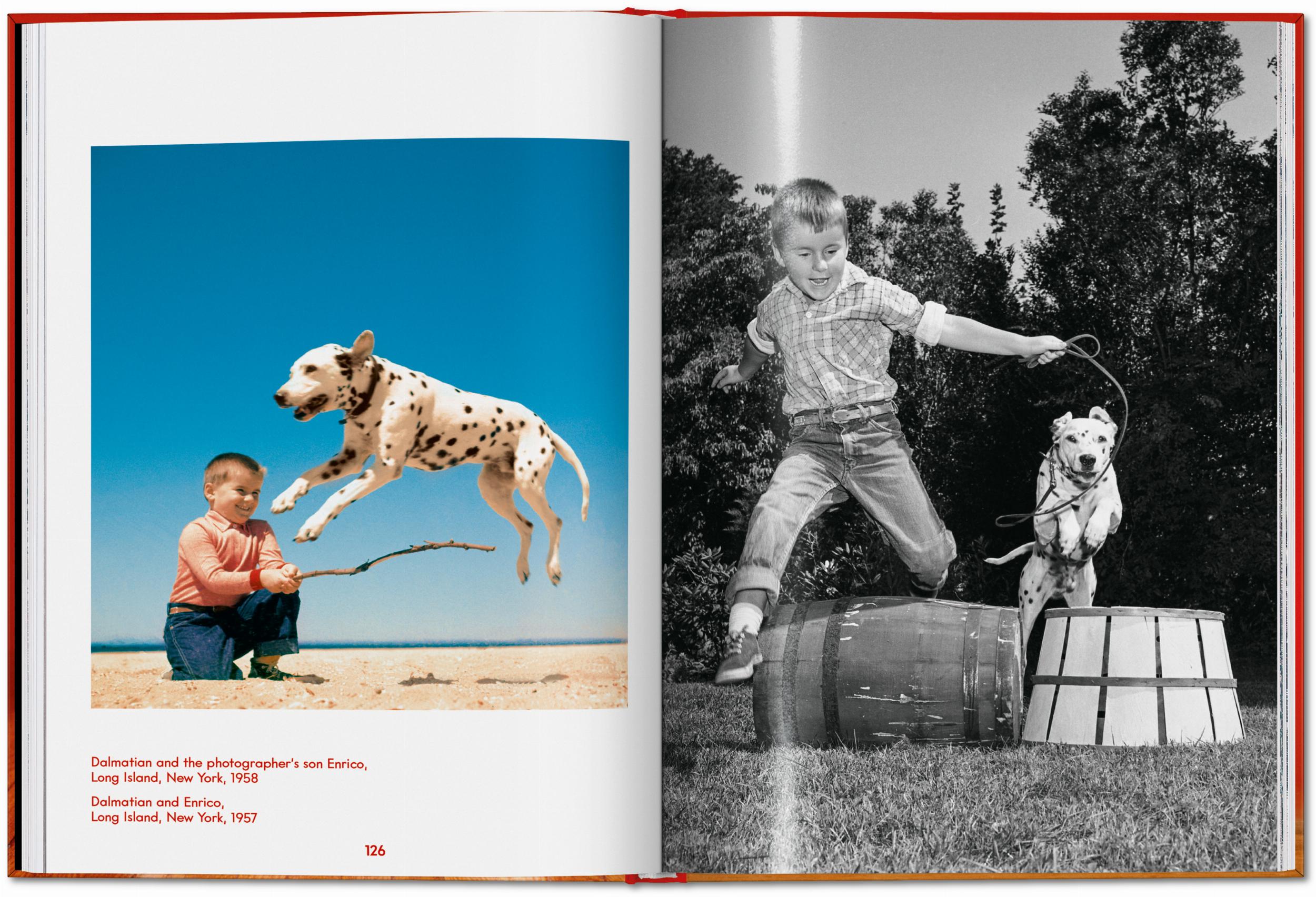 Kind und Hund spielen zusammen