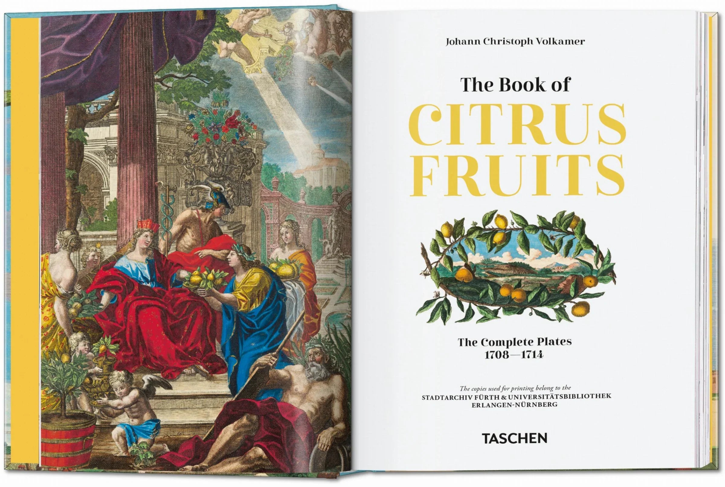 Offene Buchseiten zeigen detailreiche Illustrationen und kunsthistorische Darstellungen von Zitrusfrüchten.