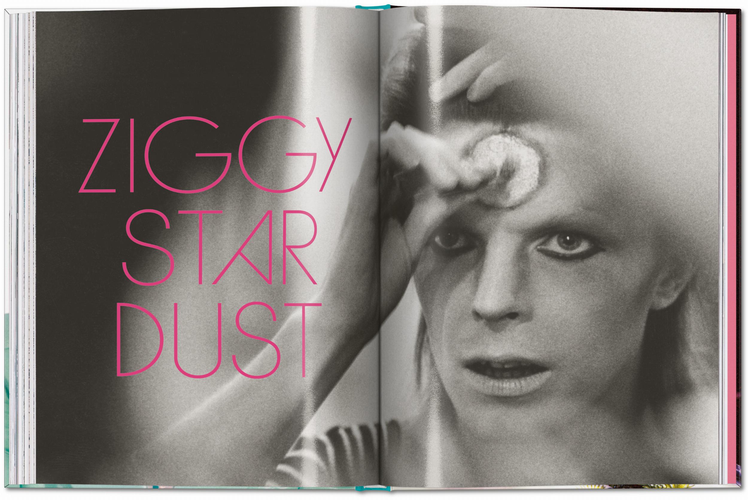 Ziggy Star Dust