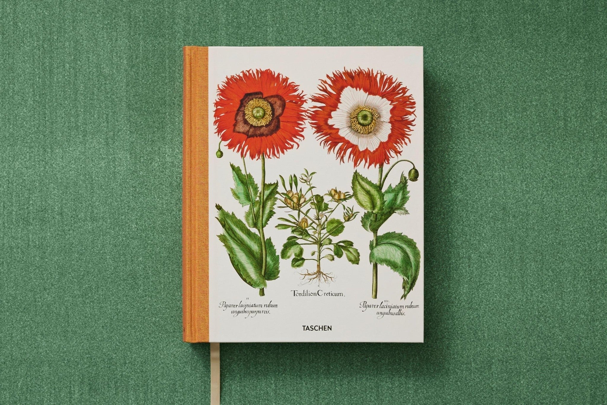Besler. The Garden at Eichstätt mit botanischen Kupferstichdrucken