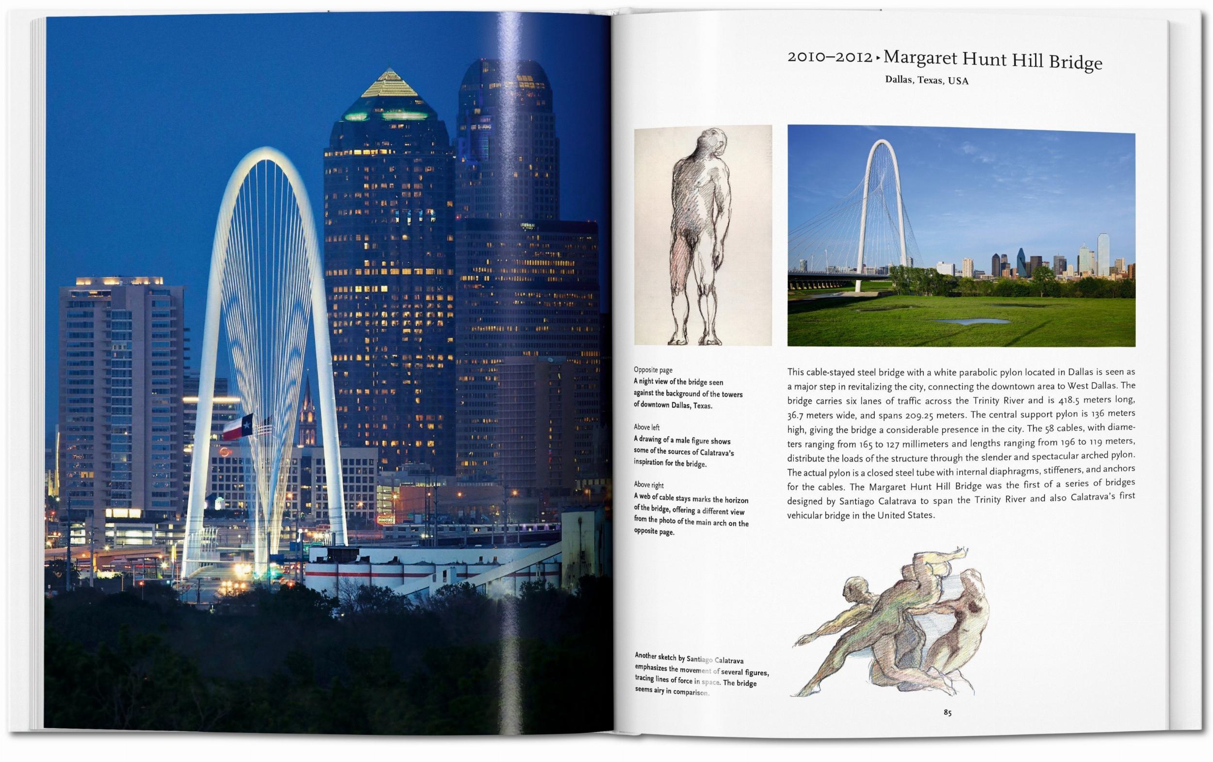 dynamische architekturformen von santiago calatrava inspiriert von natur bewegung und anatomie