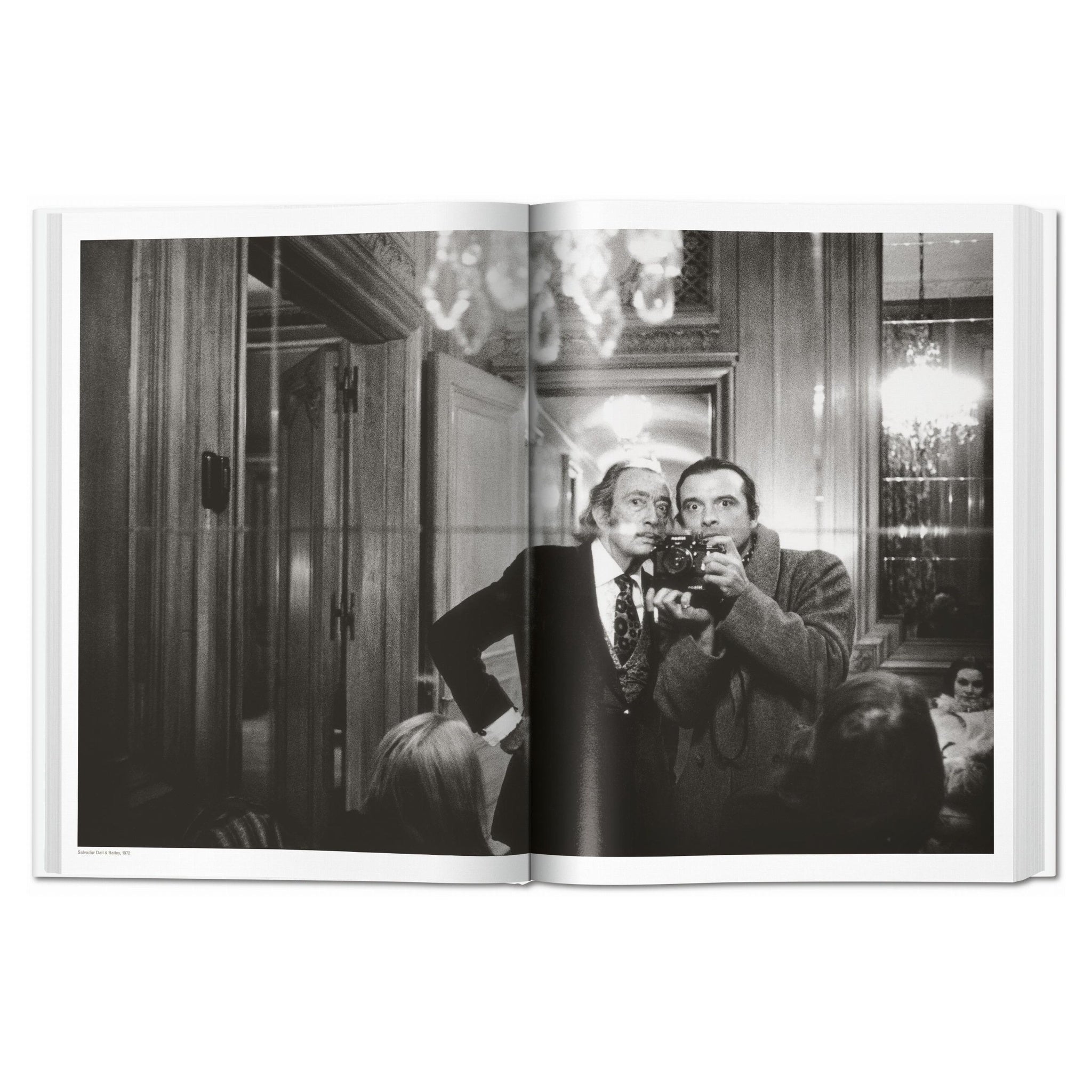 Detailansicht einer stilvollen Fotografie