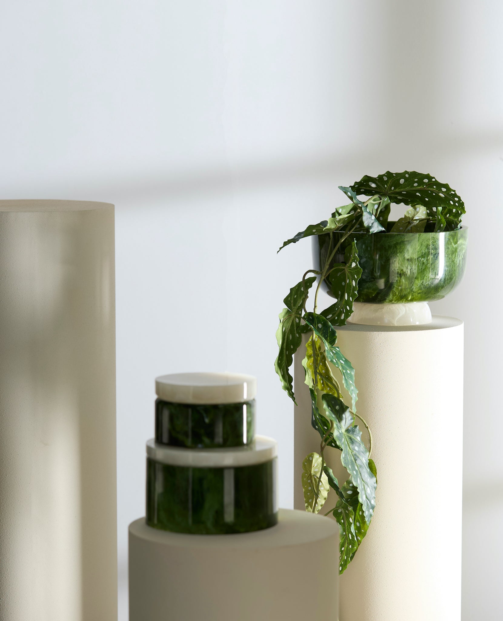 Dekoration Schalen und Aufbewahrung in Gruen-Weiss von Light & Living