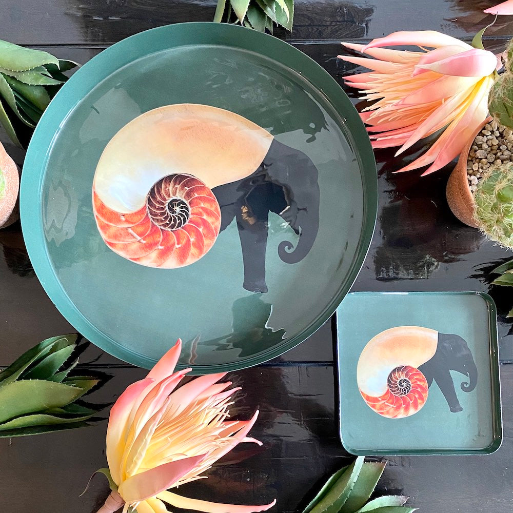 Tablett & Vide-Poche SHELLEPHANT von GANGZAI mit Elefant-Muschel-Design