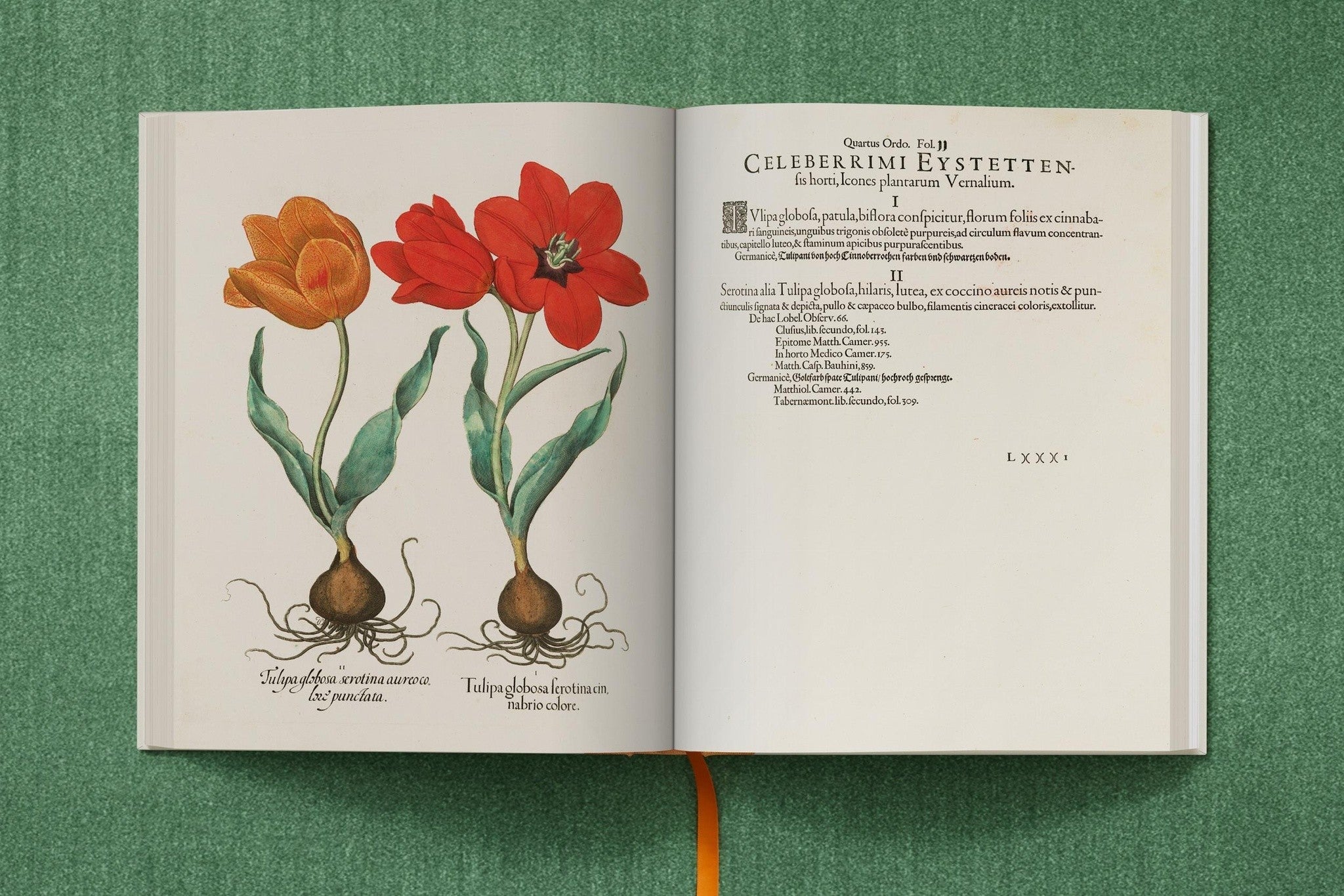 Besler. The Garden at Eichstätt für Botaniker und Sammler
