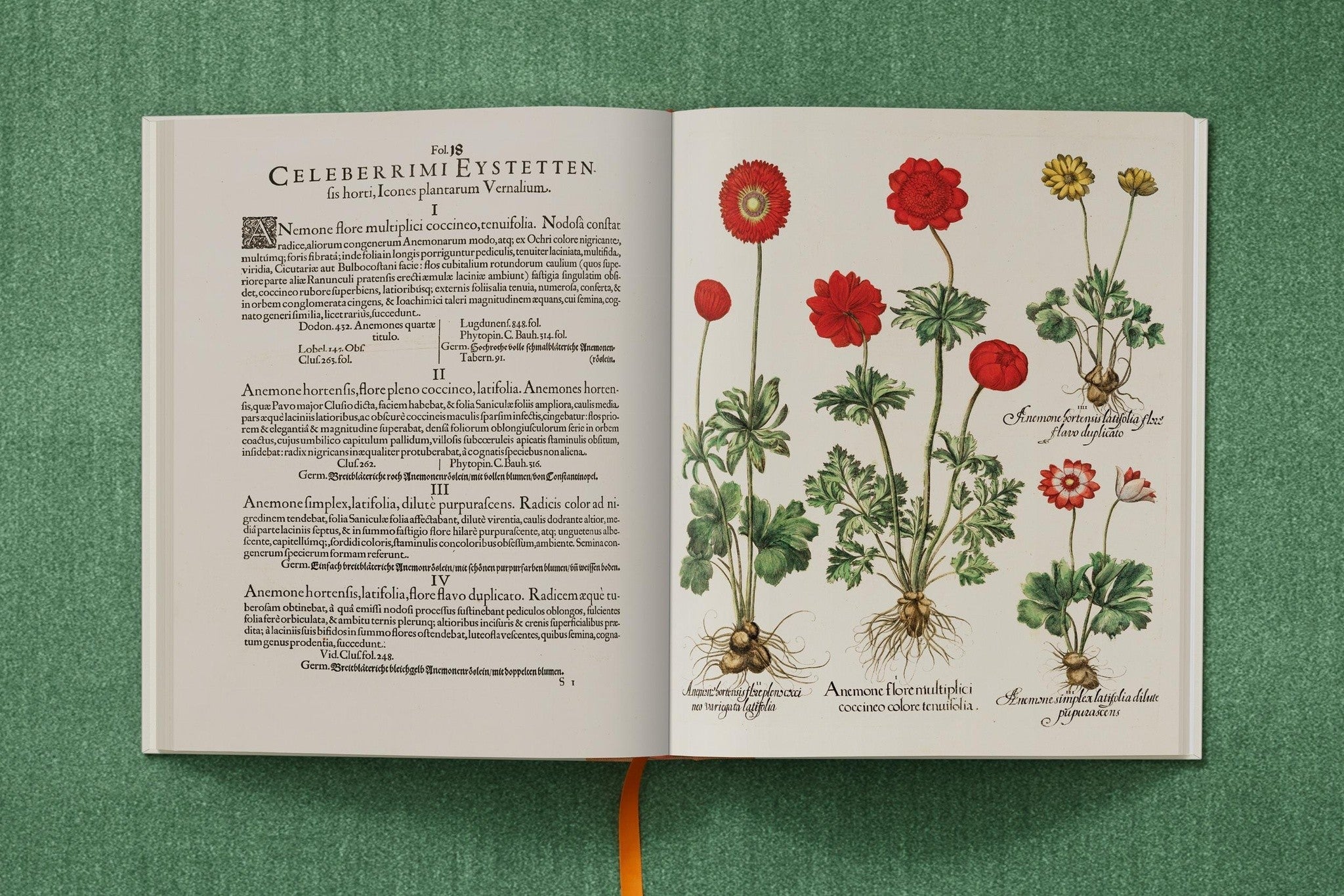 Besler. The Garden at Eichstätt mit barocken Pflanzenabbildungen