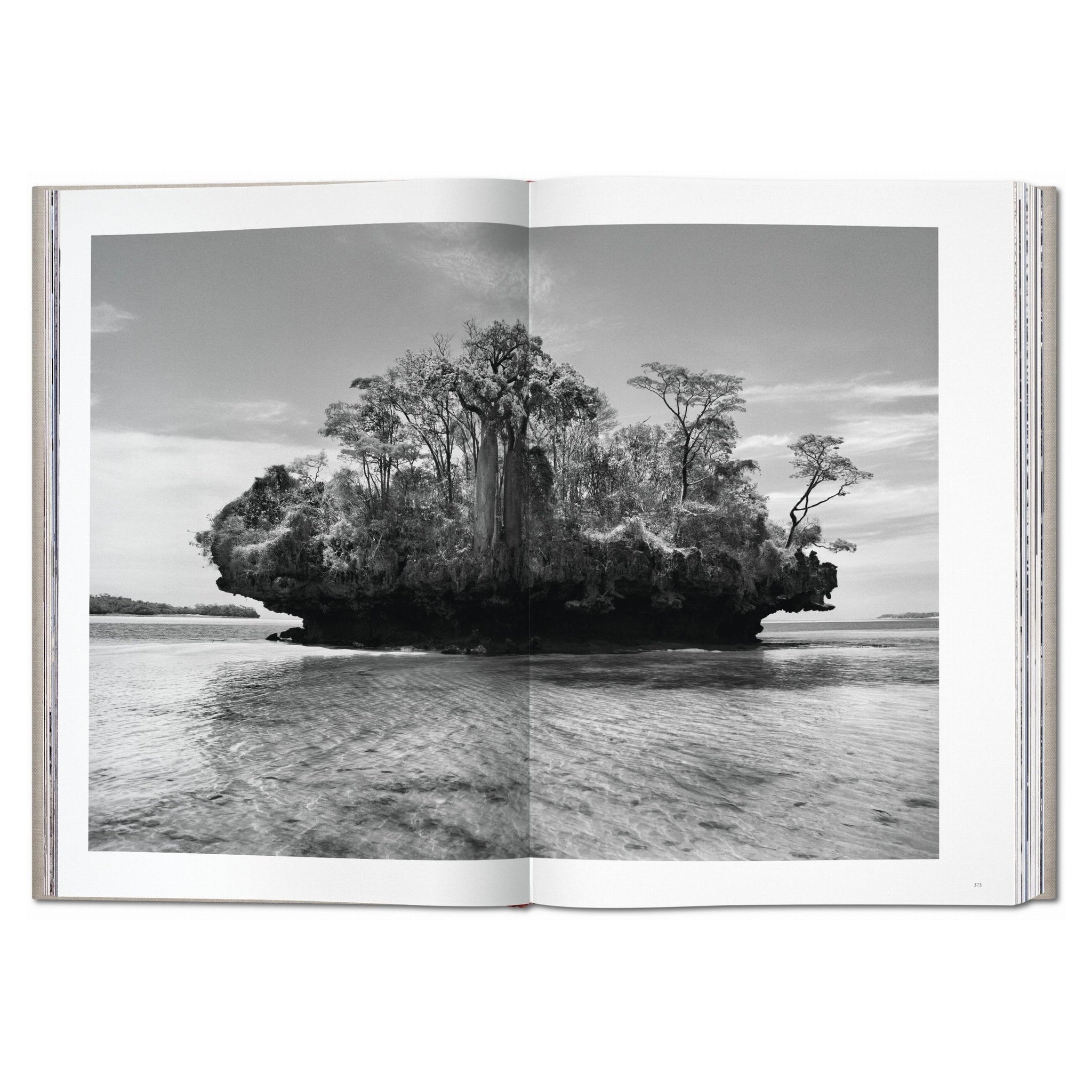 Exklusiver Fotoband Genesis mit beeindruckenden Natur- und Tierfotografien von Sebastião Salgado
