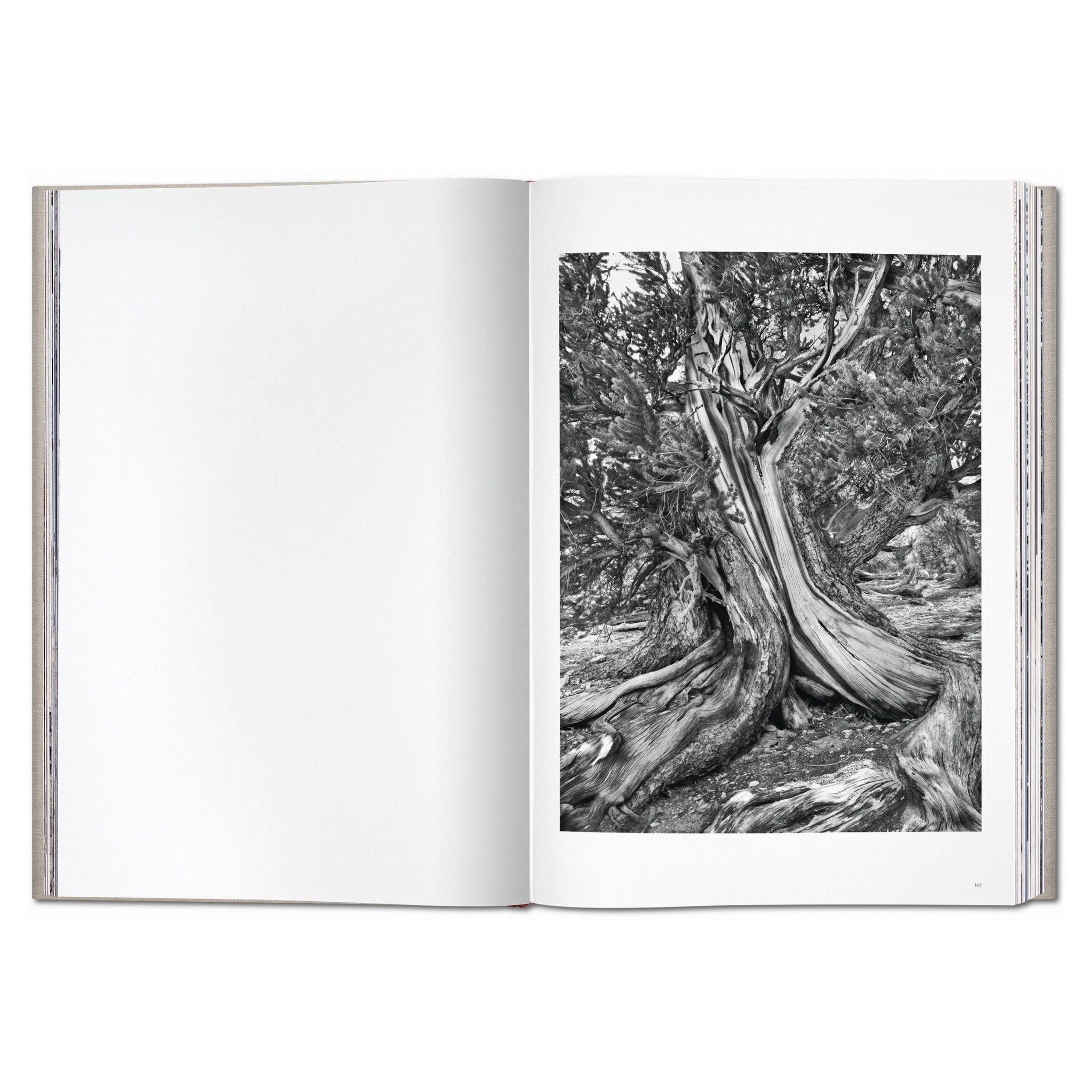 Sebastião Salgado Genesis SUMO-Edition mit zwei Leinenbänden im Buchschuber