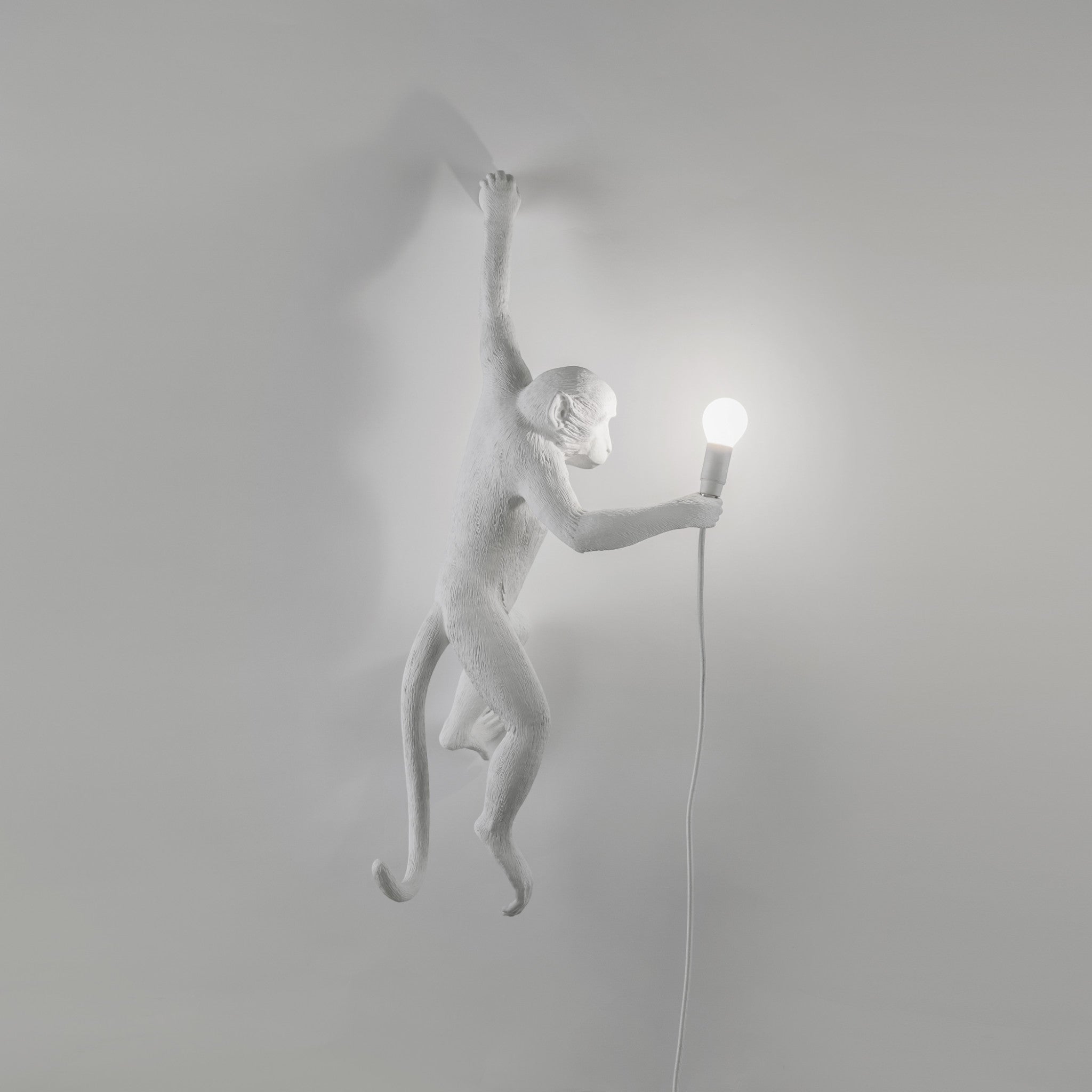 Hängeleuchte THE MONKEY von Seletti – ikonisches Design zwischen Natur und Inszenierung