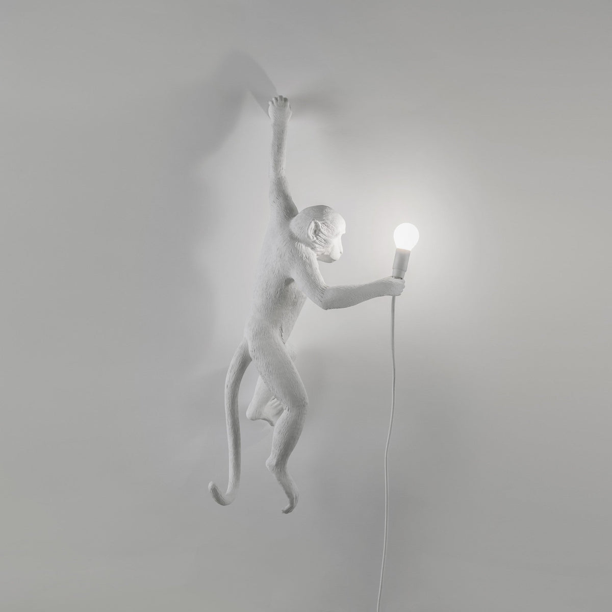 Hängeleuchte THE MONKEY von Seletti – ikonisches Design zwischen Natur und Inszenierung