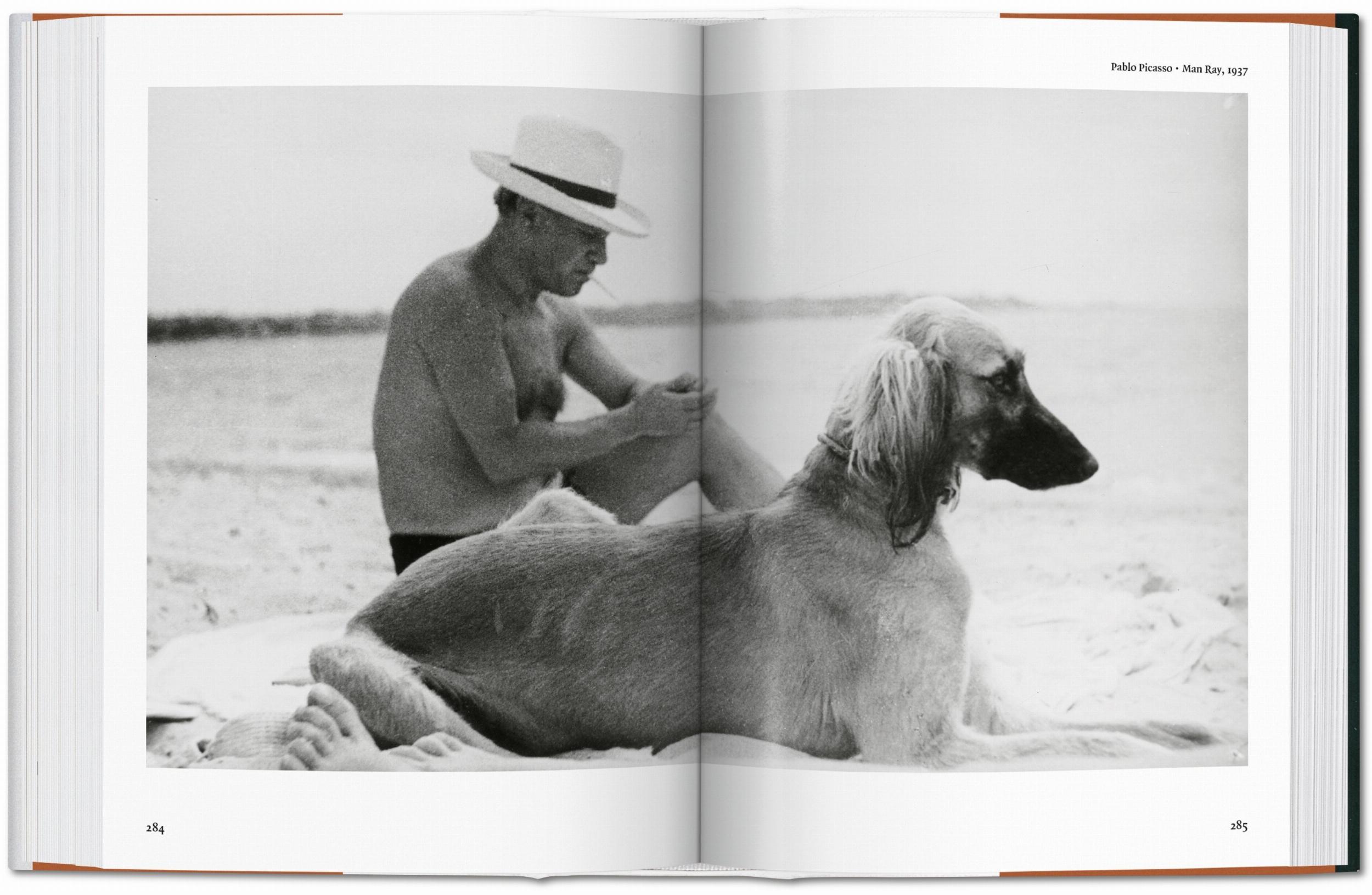 Foto mir Hund und Mensch am Strand