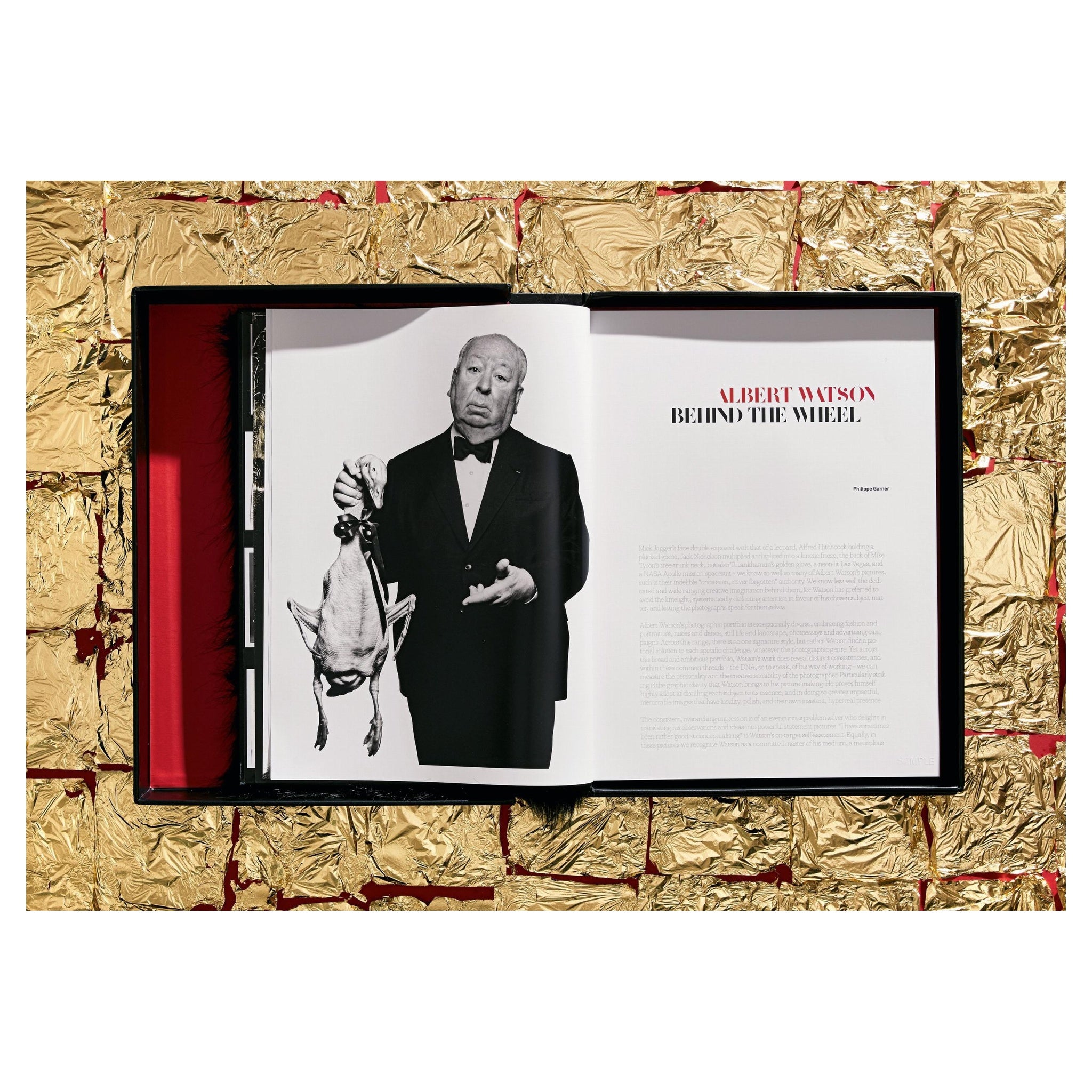 Innenansicht Albert Watsons Fotobuch – verführerische Ästhetik und Fotokunst