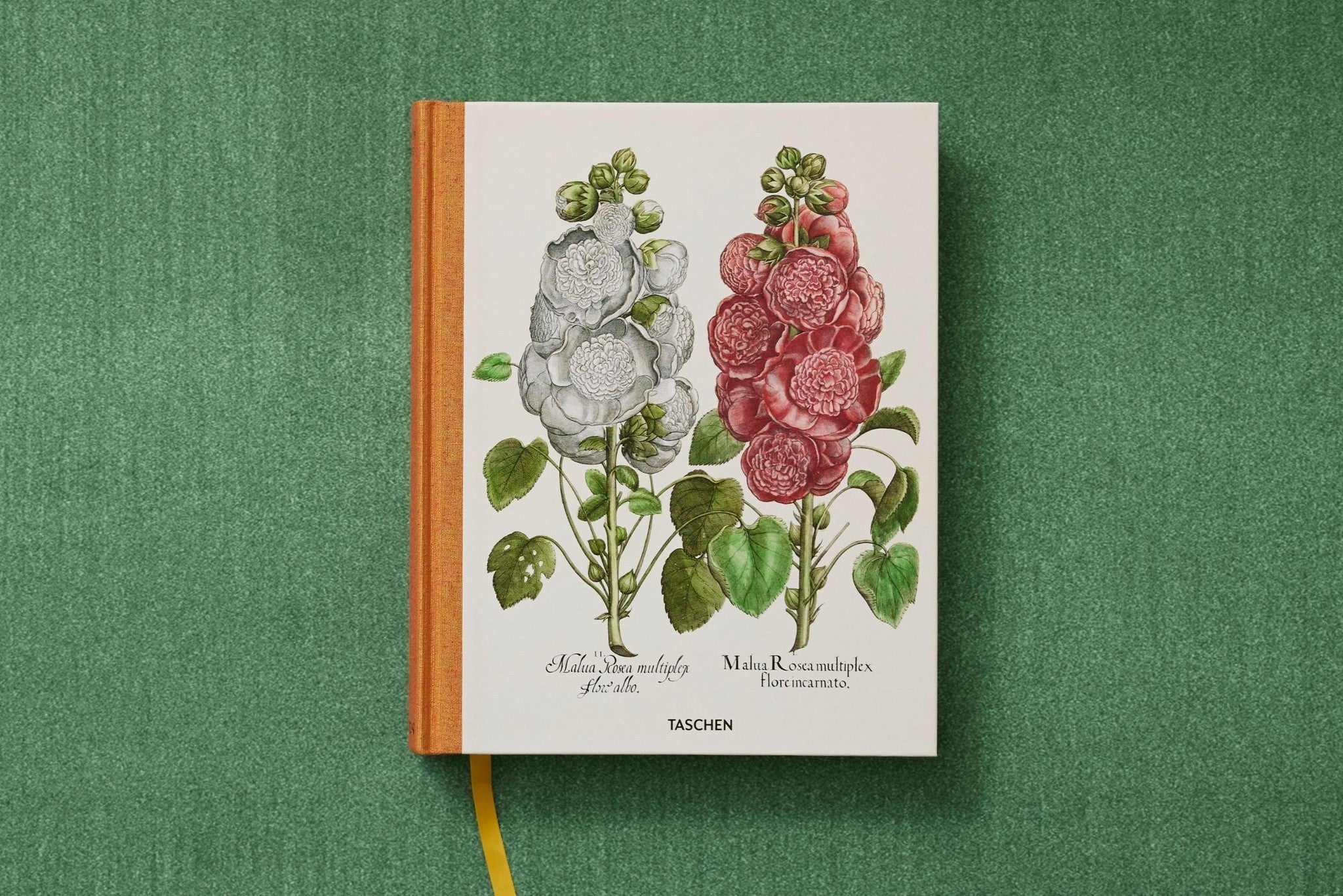 Besler. The Garden at Eichstätt mit 1096 Seiten im Großformat