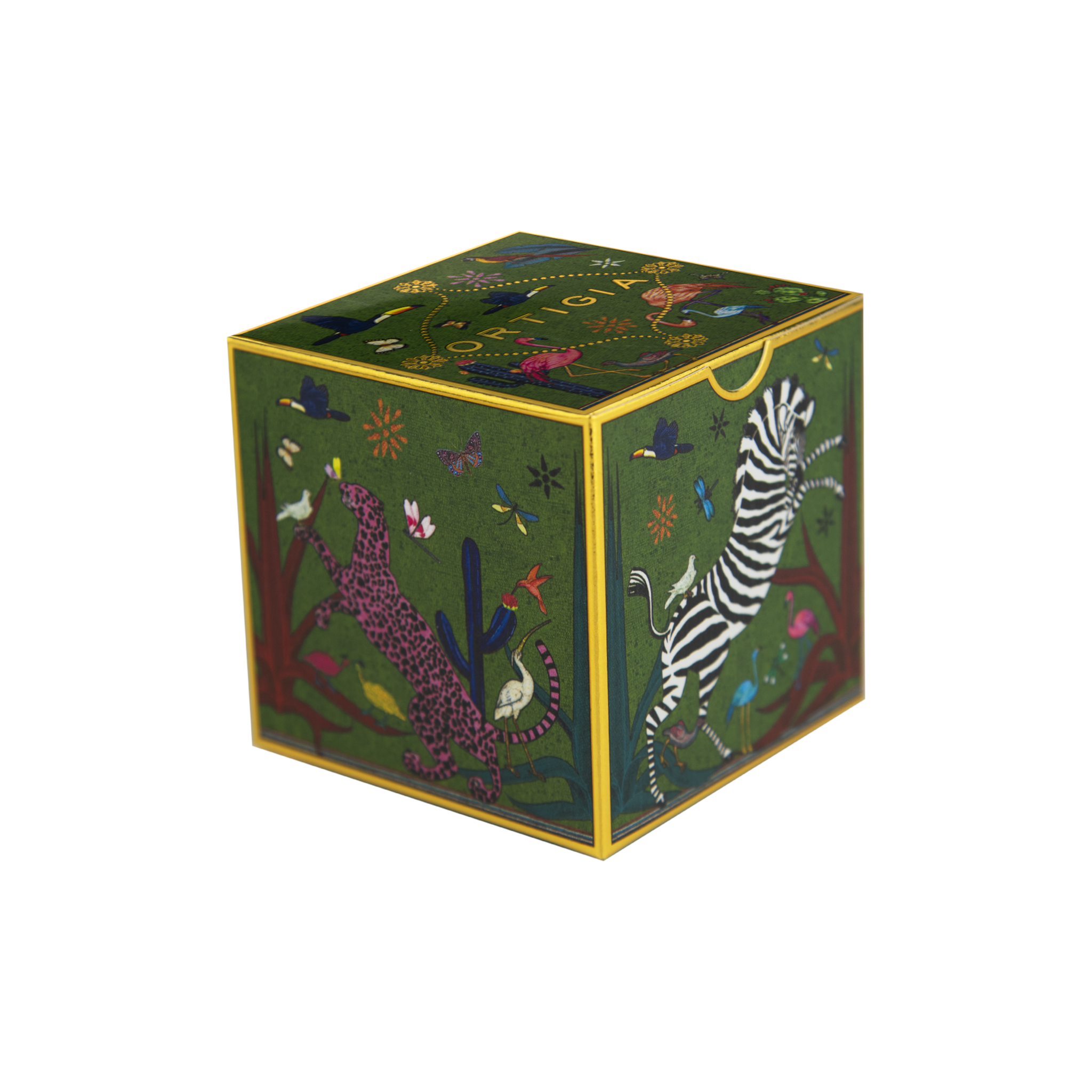 Geschenkbox mit farbenfrohen Illustrationen im Jungle-Stil