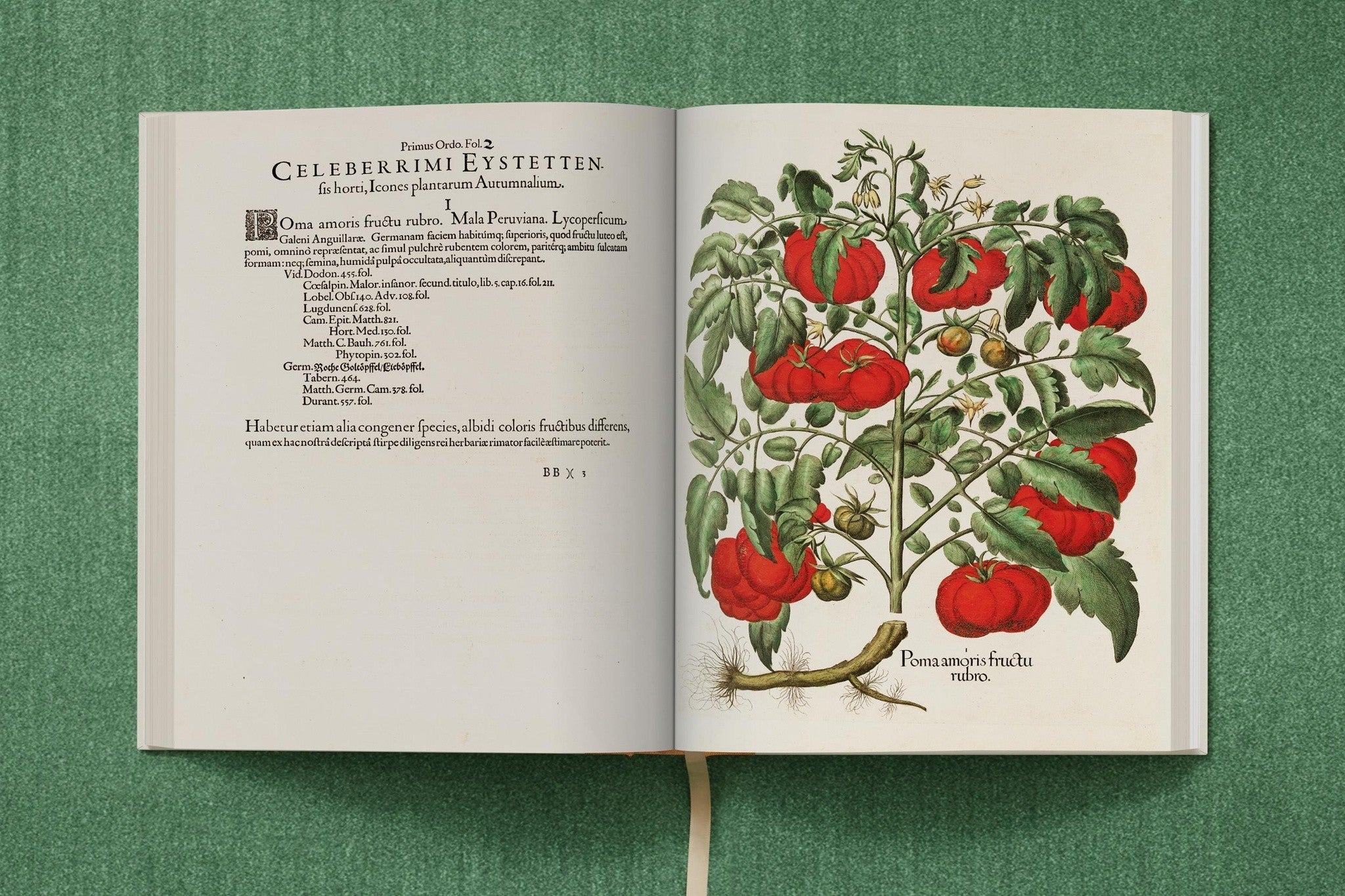 Besler. The Garden at Eichstätt für Liebhaber botanischer Kunst