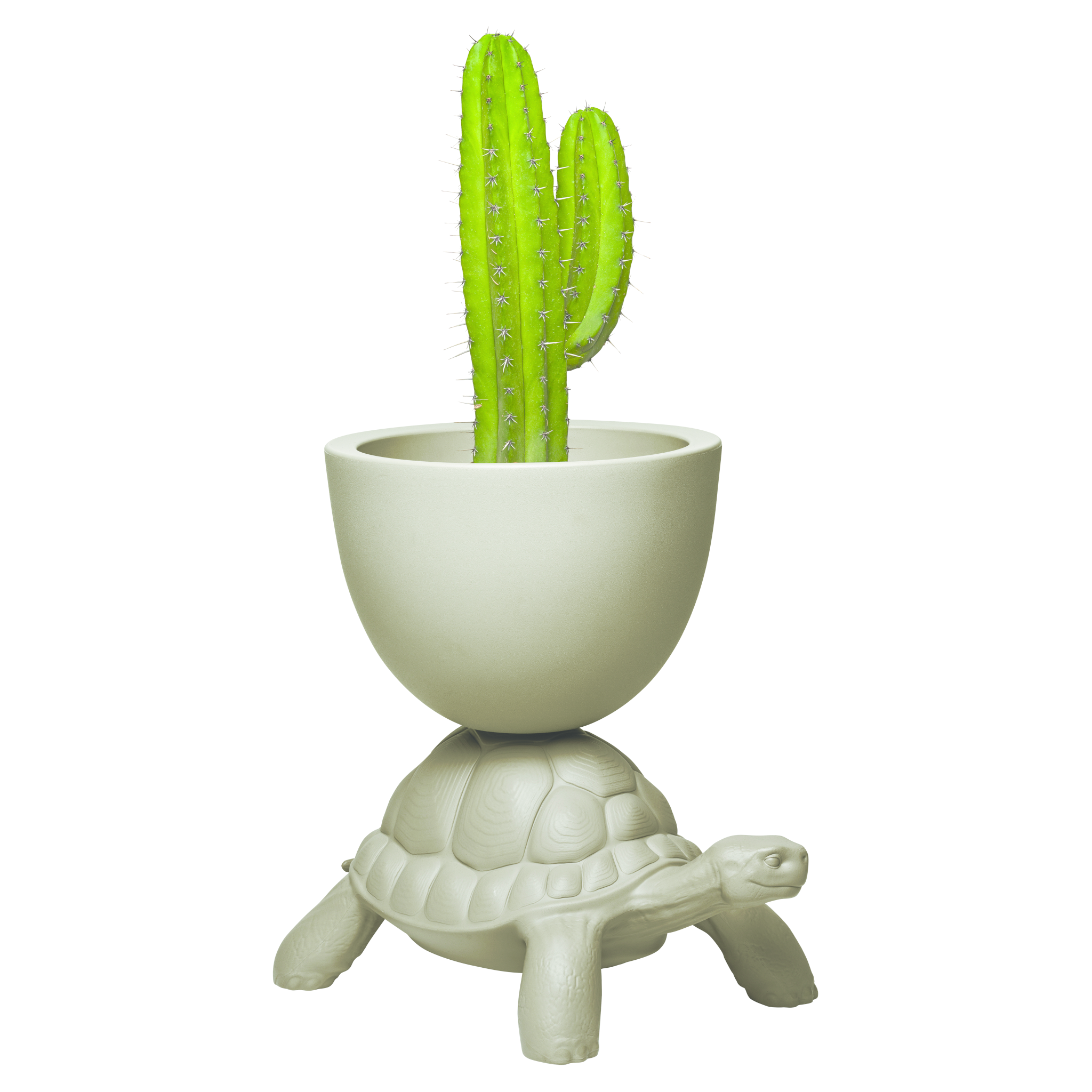 Grauer TURTLE CARRY Pflanzentopf von Qeeboo mit Pflanzschale auf Schildkrötenrücken