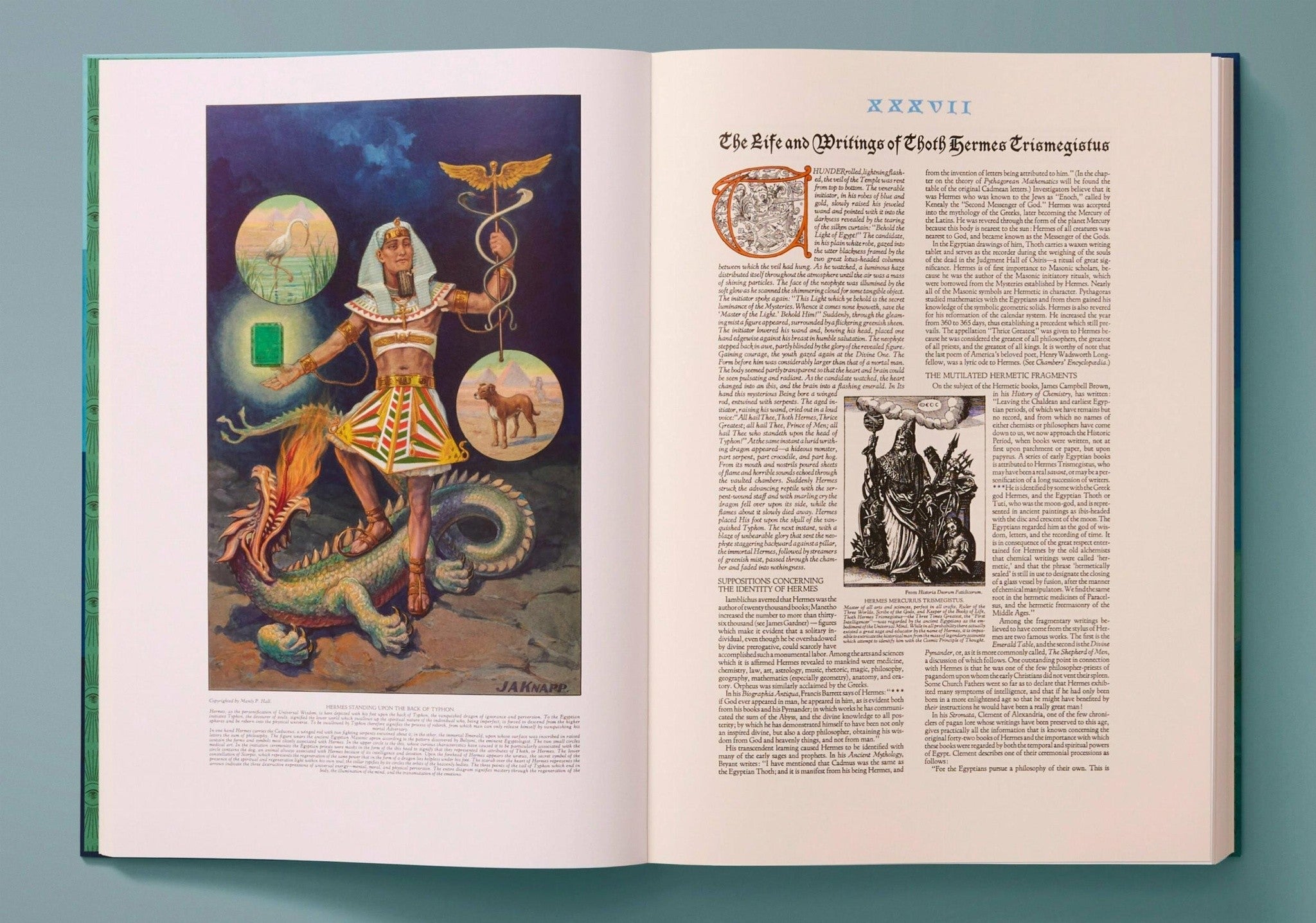 Geöffnete Seiten von Secret Teachings of All Ages mit Illustrationen