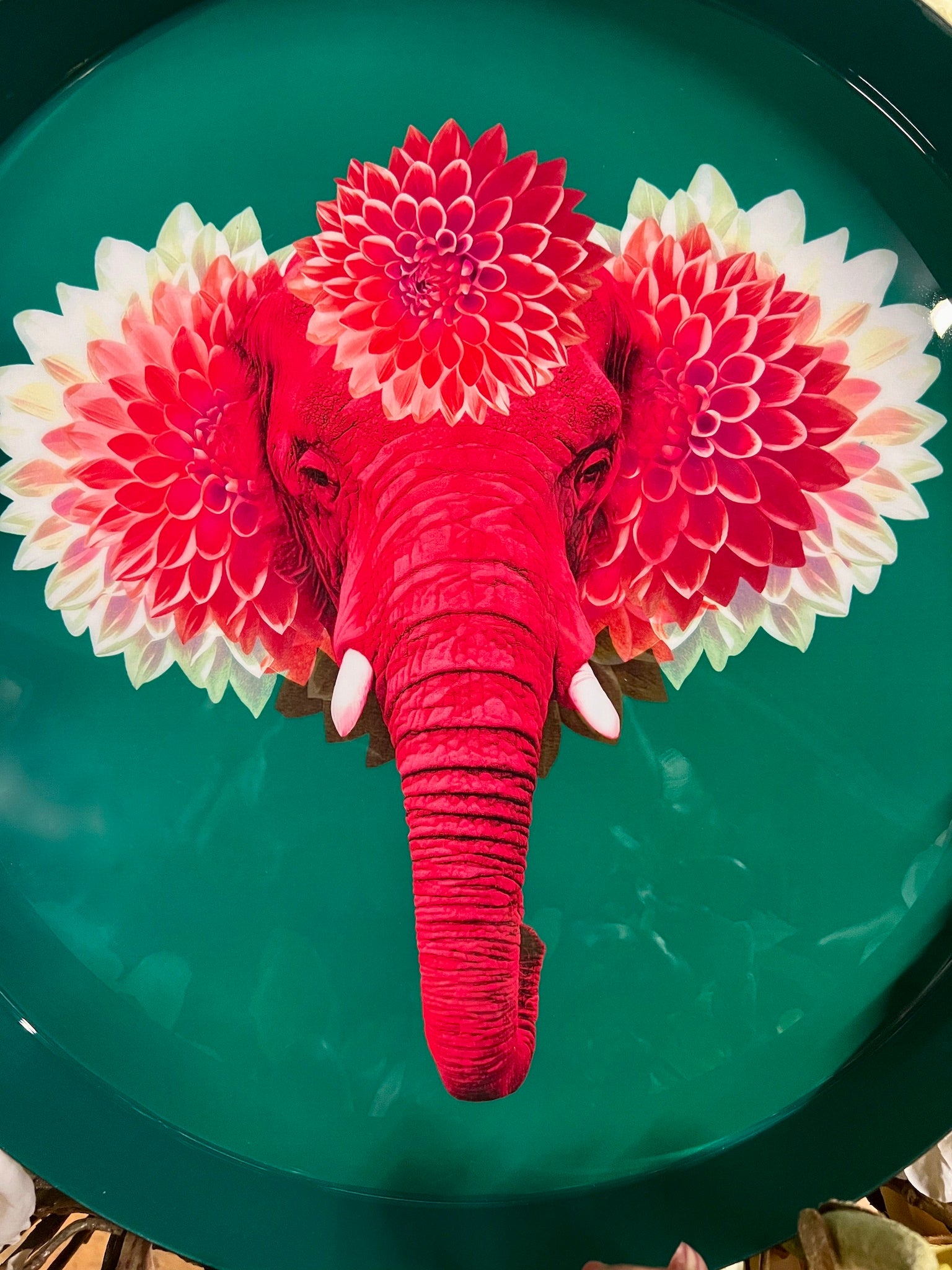 PACHIIII tray - pink elephant