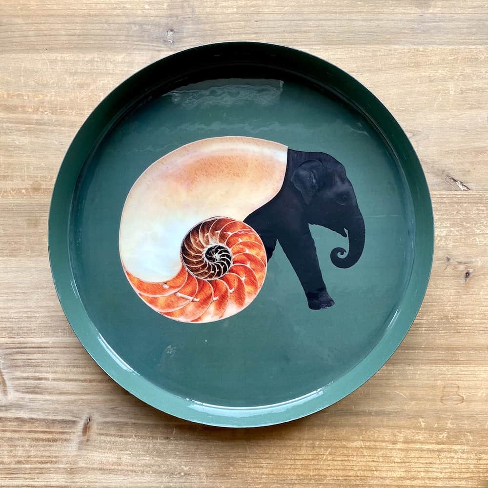 Tablett SHELLEPHANT von GANGZAI mit Elefant-Muschel-Design