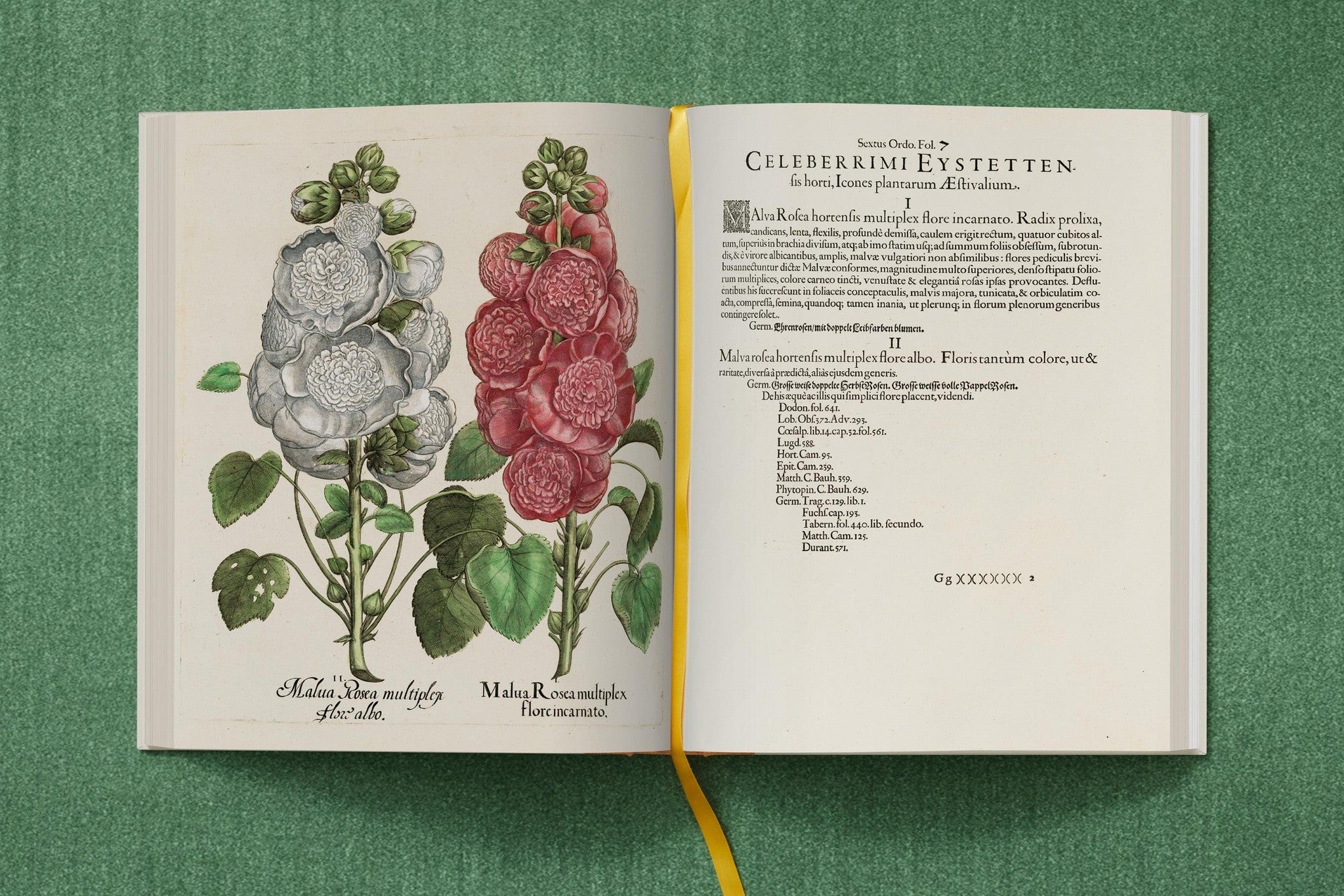 Besler. The Garden at Eichstätt von TASCHEN im Schuber