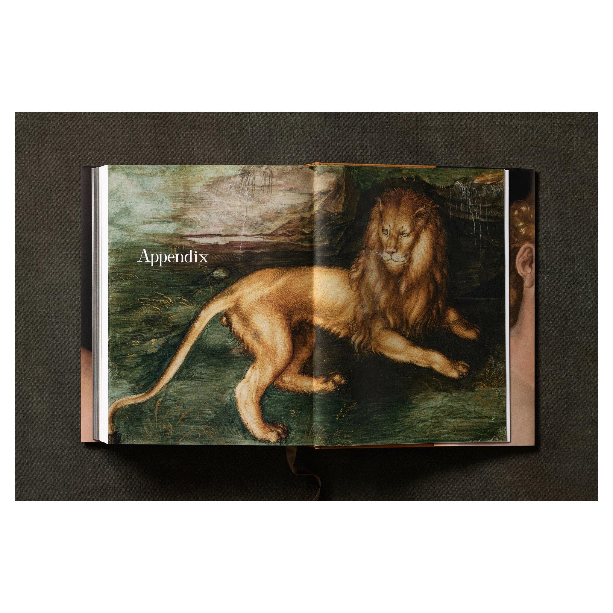 Seitenansicht des Dürer-Buches mit dickem Buchrücken.