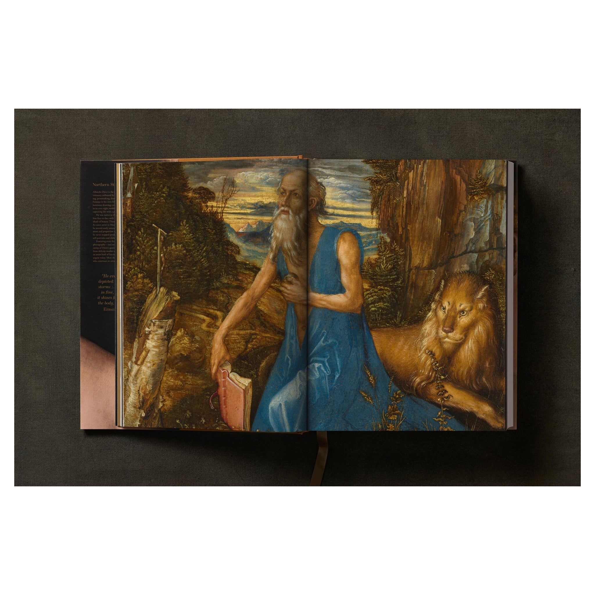 Fotografie des großformatigen Dürer-Hardcovers auf weiß.