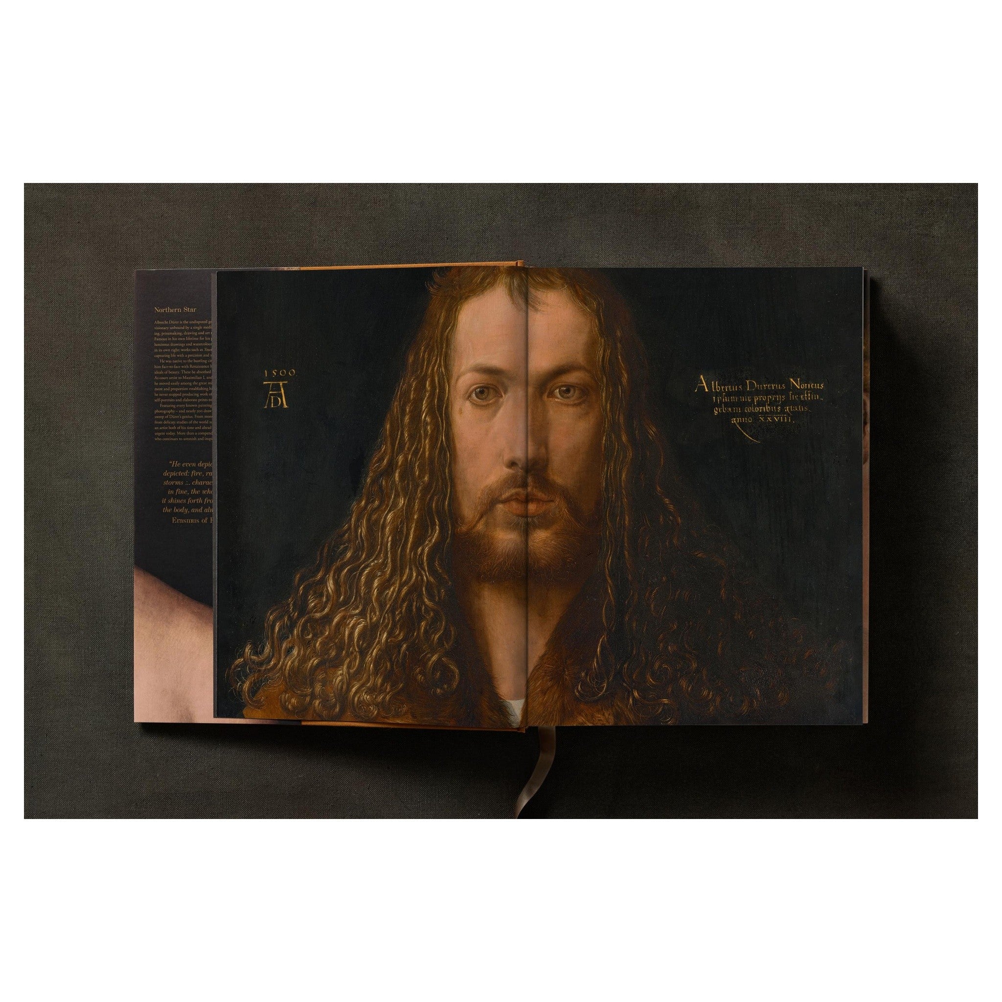 Nahaufnahme der Hauttöne im Dürer-Porträtmotiv.