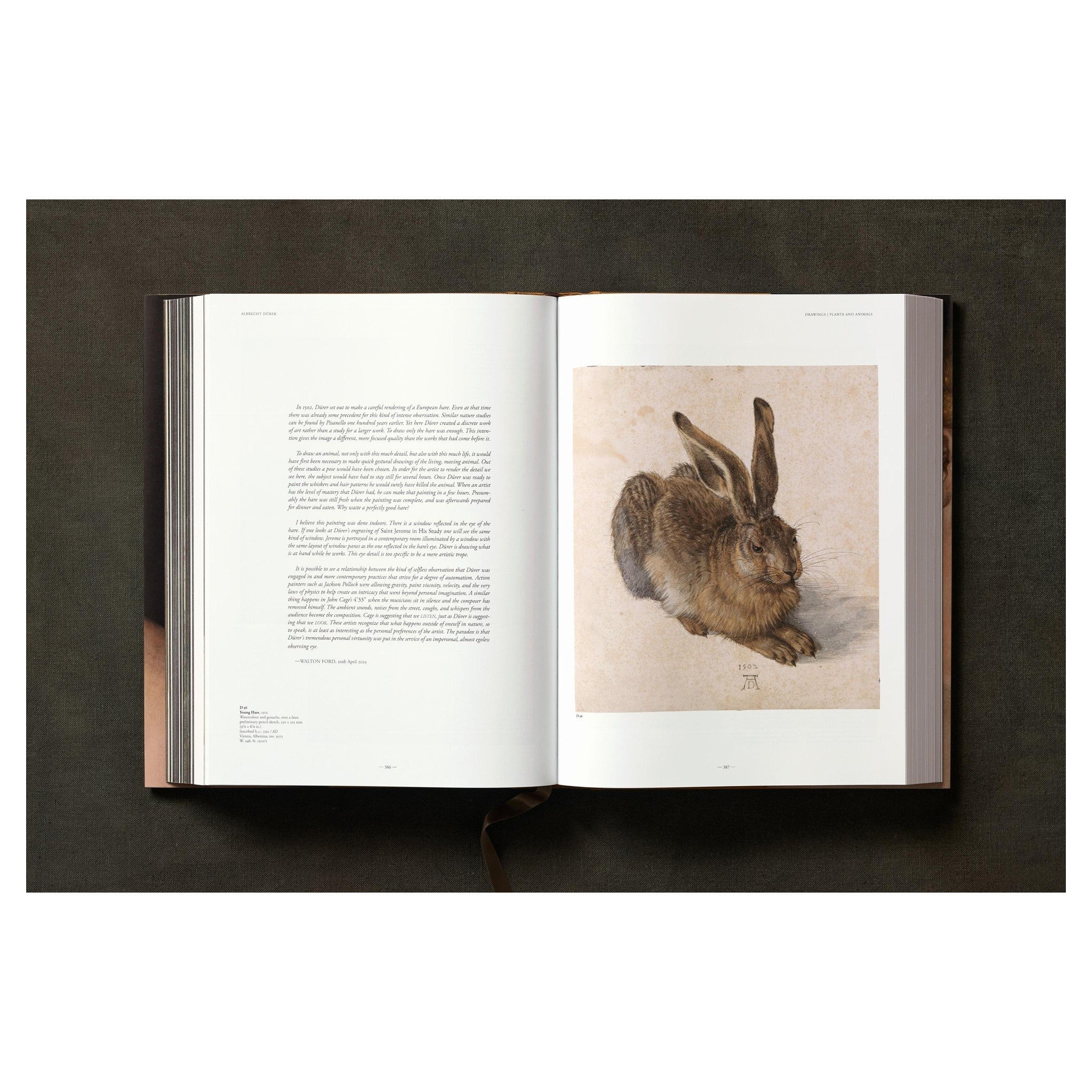 Reproduktion eines Renaissanceportraits auf Buchcover.