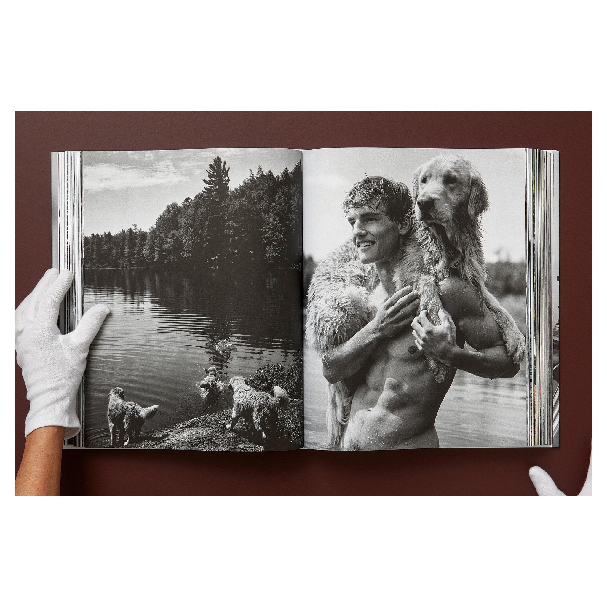 THE GOLDEN RETRIEVER PHOTOGRAPHIC SOCIETY Buch auf einem Tisch