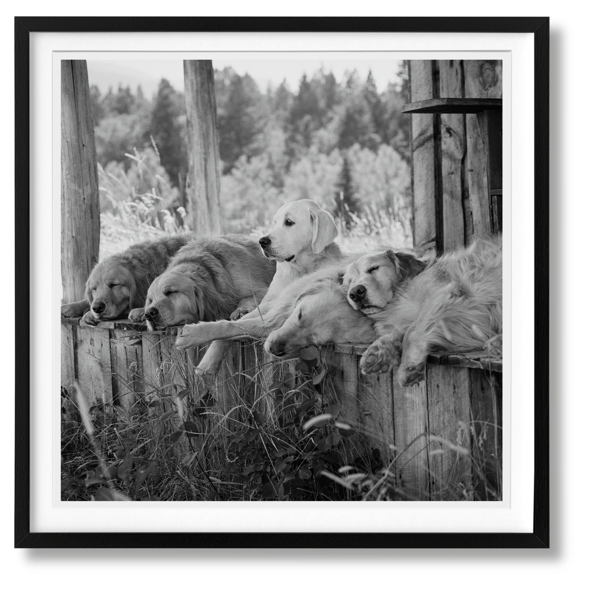 Luxuriöser Schuber des Bruce Weber Bildbands – limitierte Sammleredition