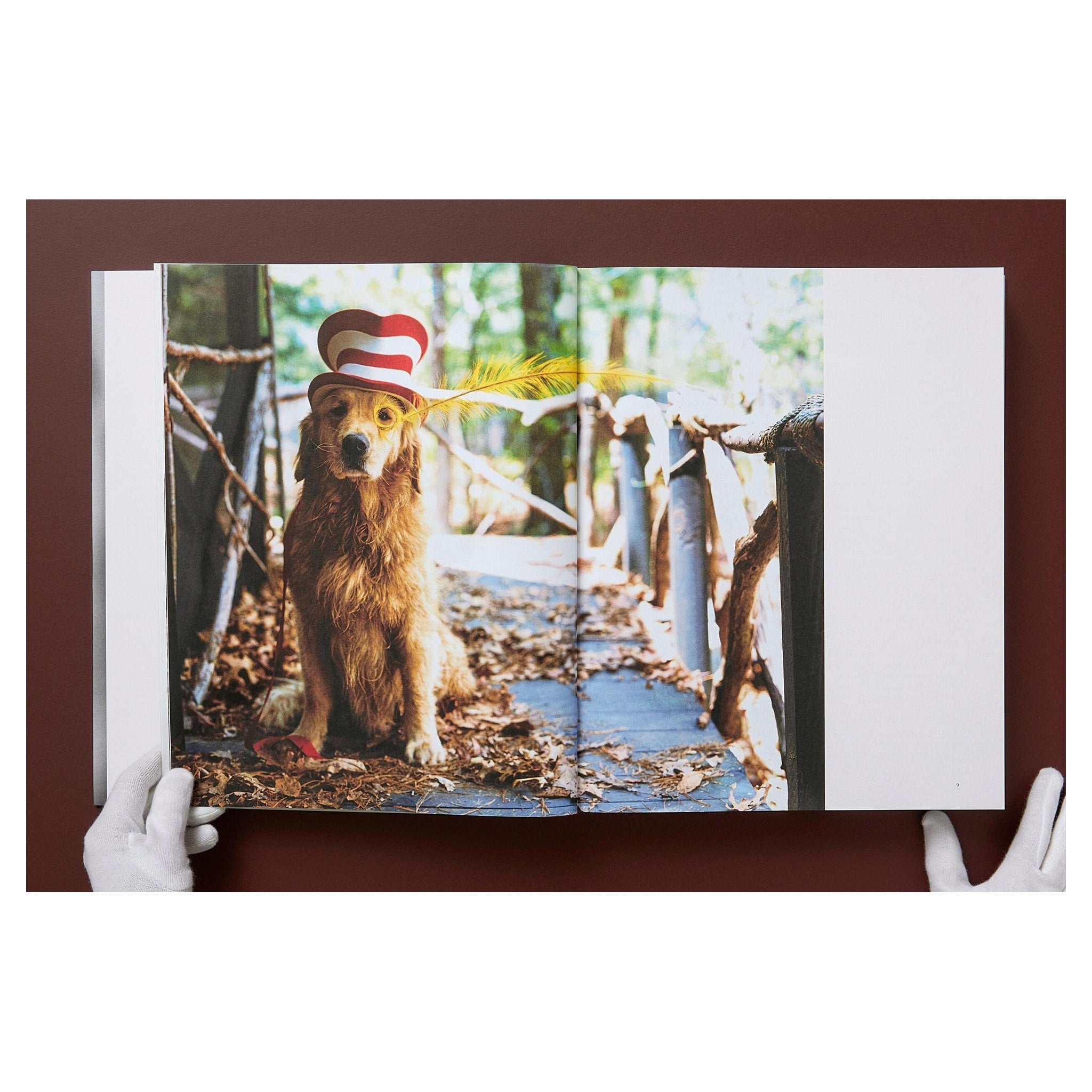 Bruce Weber Bildband im hochwertigen Schuber – limitierte Ausgabe