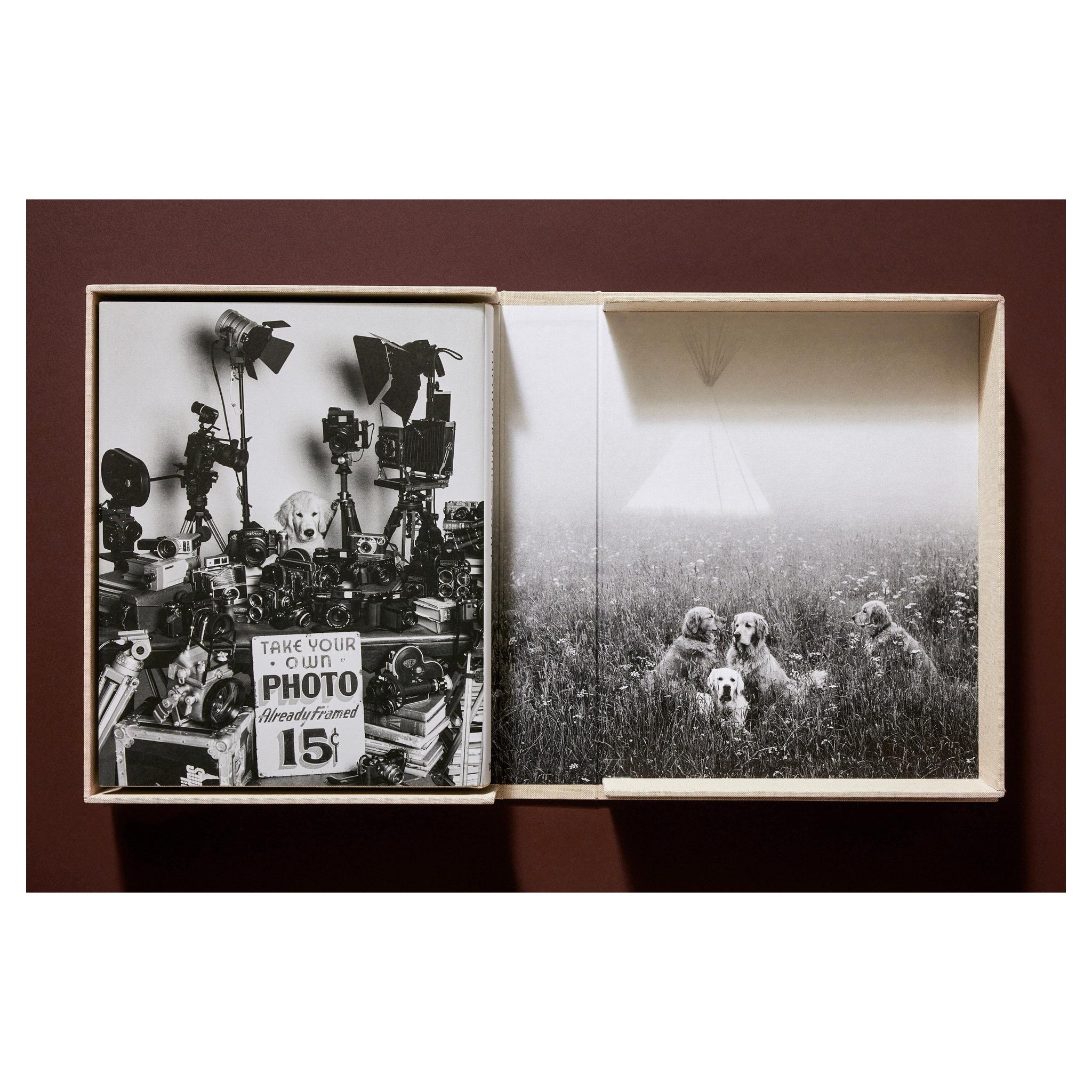 Bruce Webers ikonische Hundefotografie – Ruhe und Gelassenheit in Montana