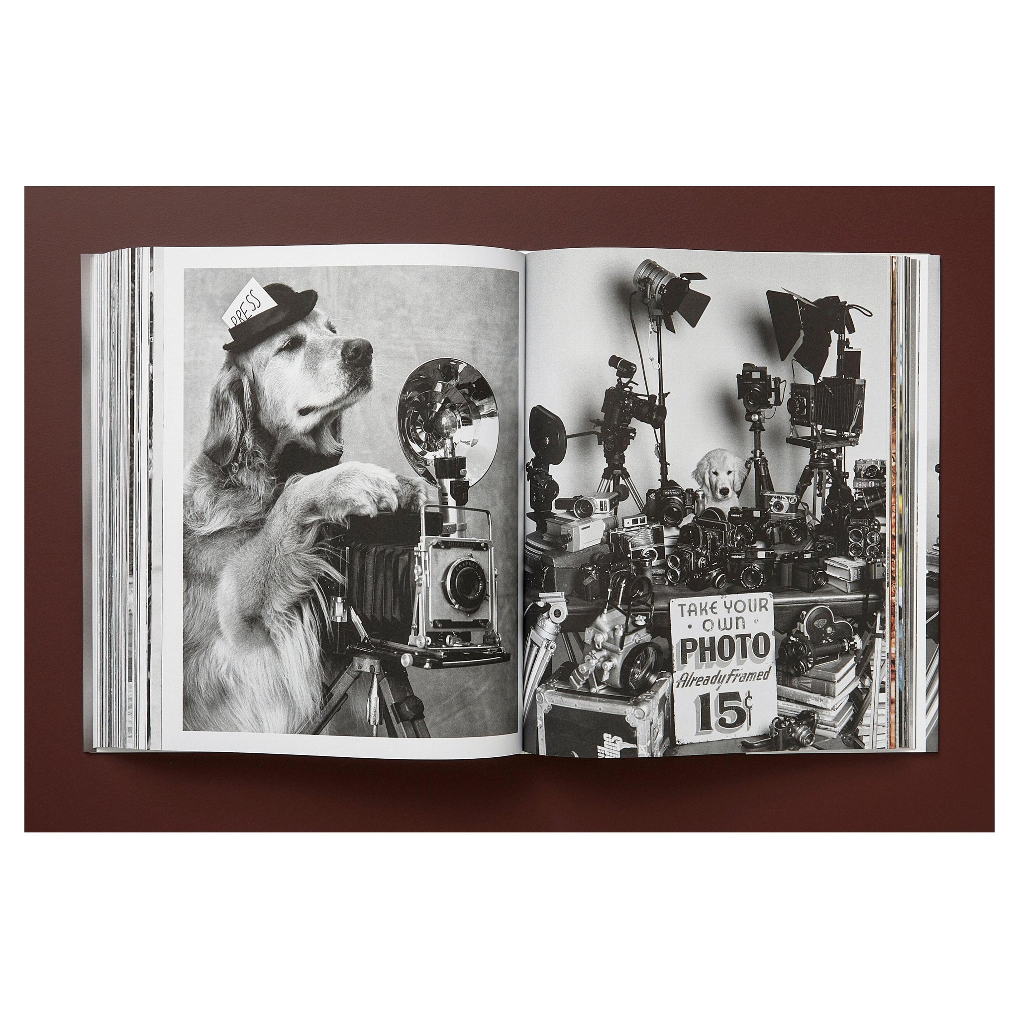 Nahaufnahme des hochwertigen Prints – signiert von Bruce Weber