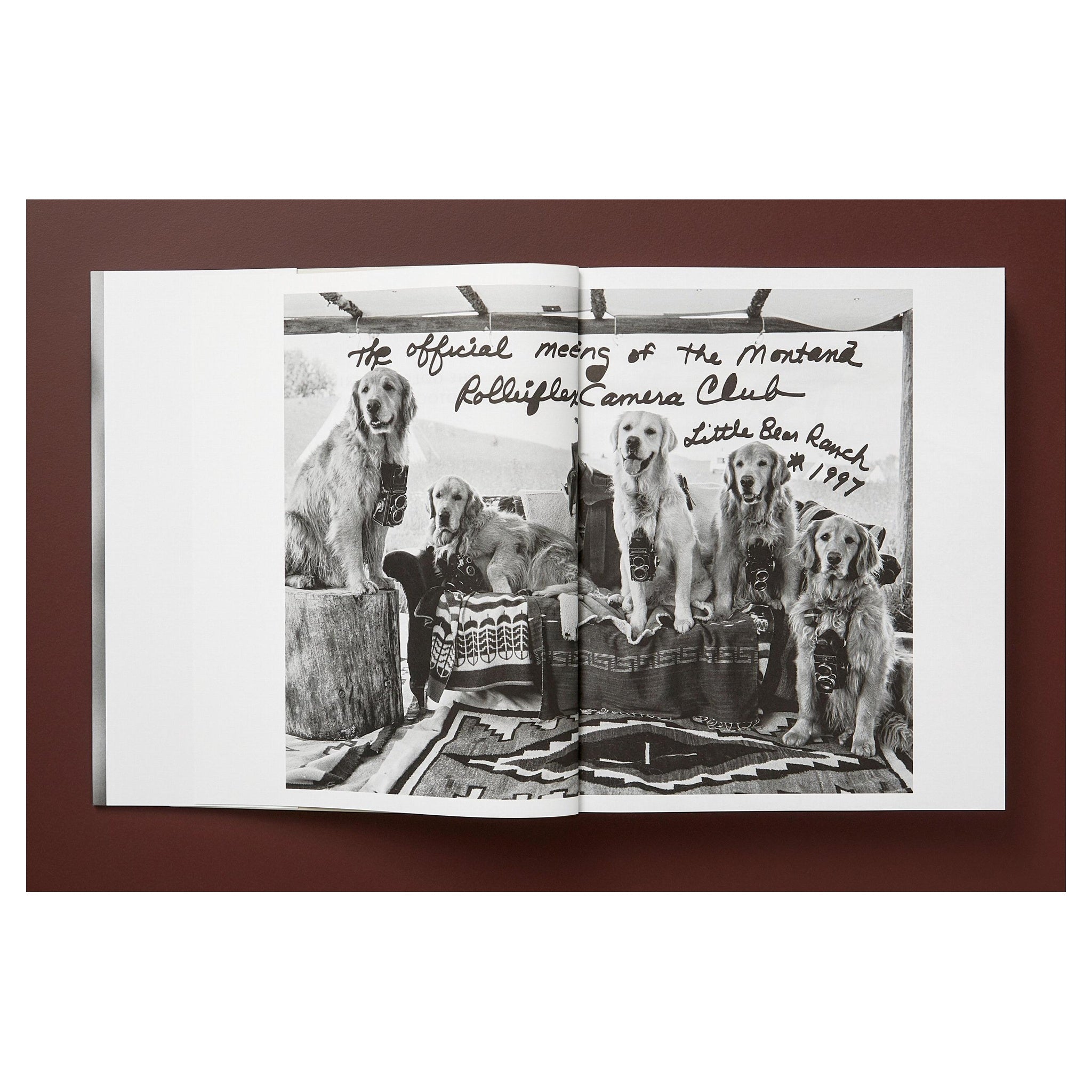 Stimmungsvolle Schwarz-Weiß-Fotografie – Golden Retriever ruhend in Montana