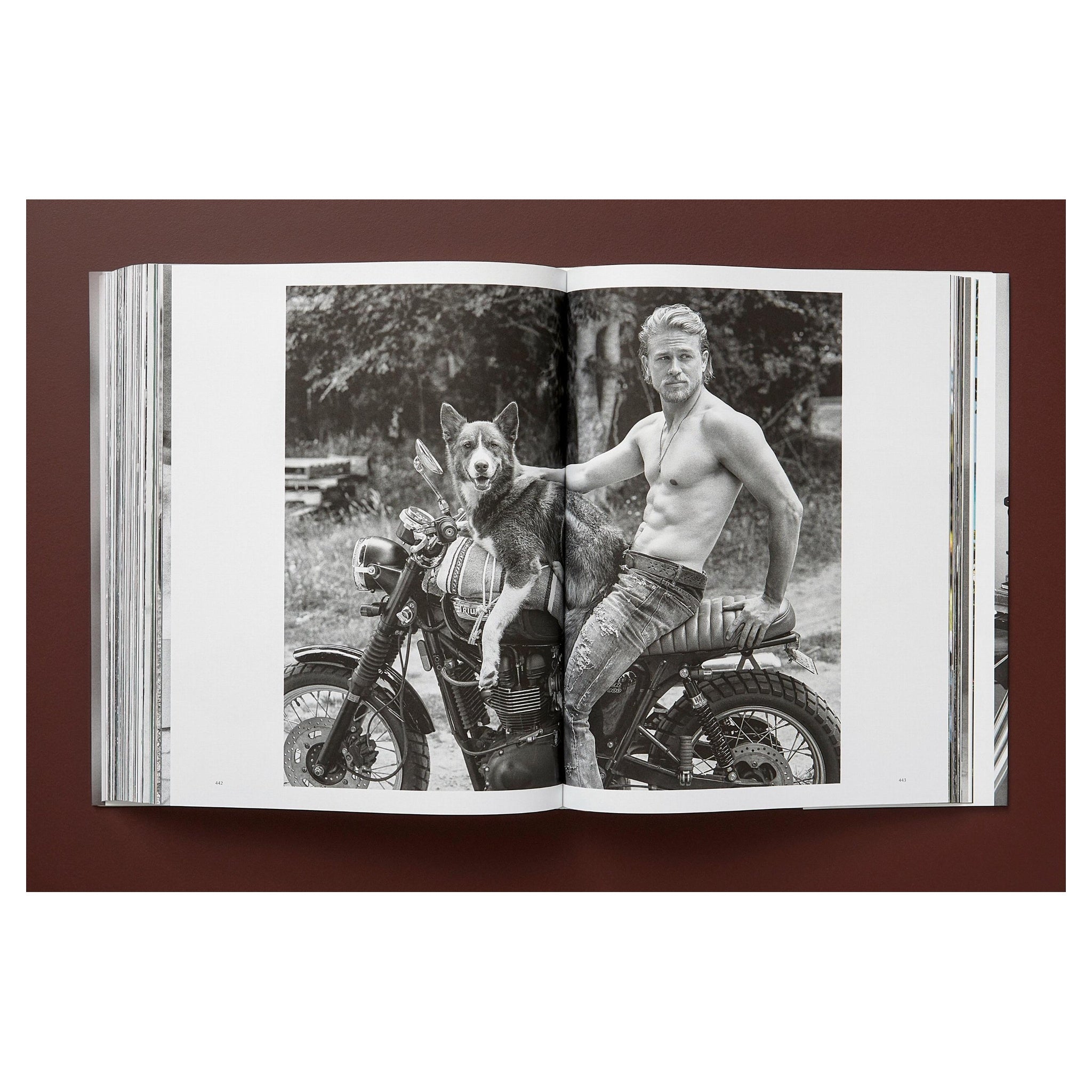 Bruce Weber Art Edition Cover – Golden Retriever auf Little Bear Ranch