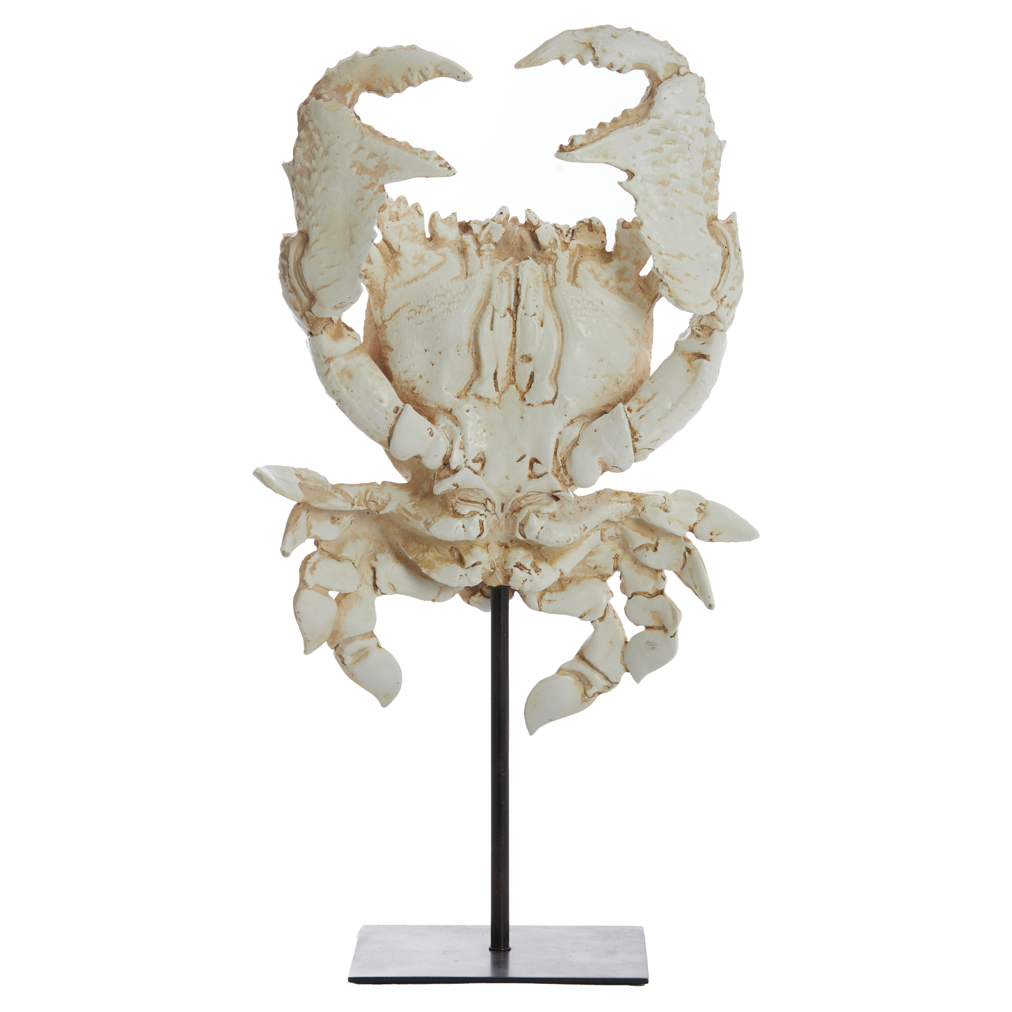 Detailansicht des "Crab" Ornaments von Light &amp; Living auf schwarzem Fuß
