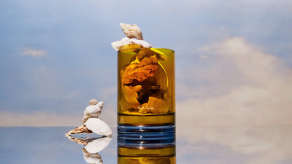 Vela perfumada Paul Smith DAYDREAMER 240g