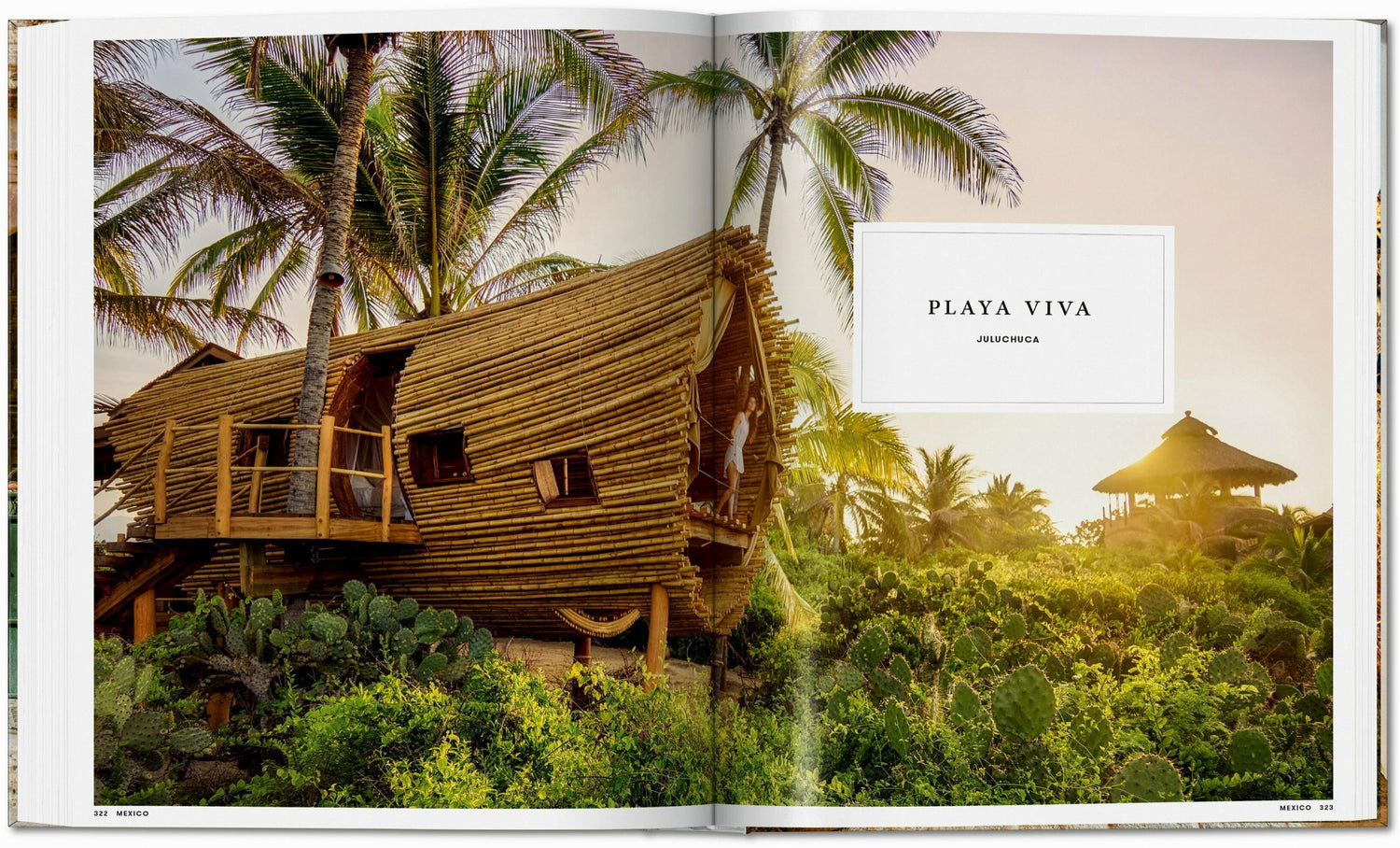 Playa Viva Design Hotel