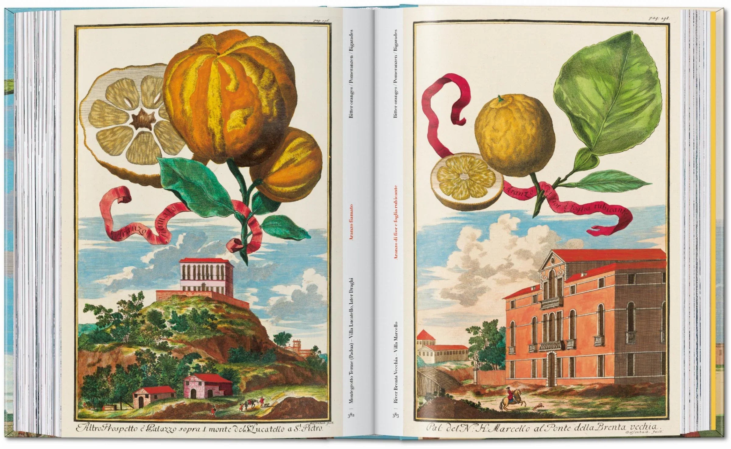 Historische Szene mit Zitrusbäumen in mediterranen Landschaften und architektonischem Hintergrund.