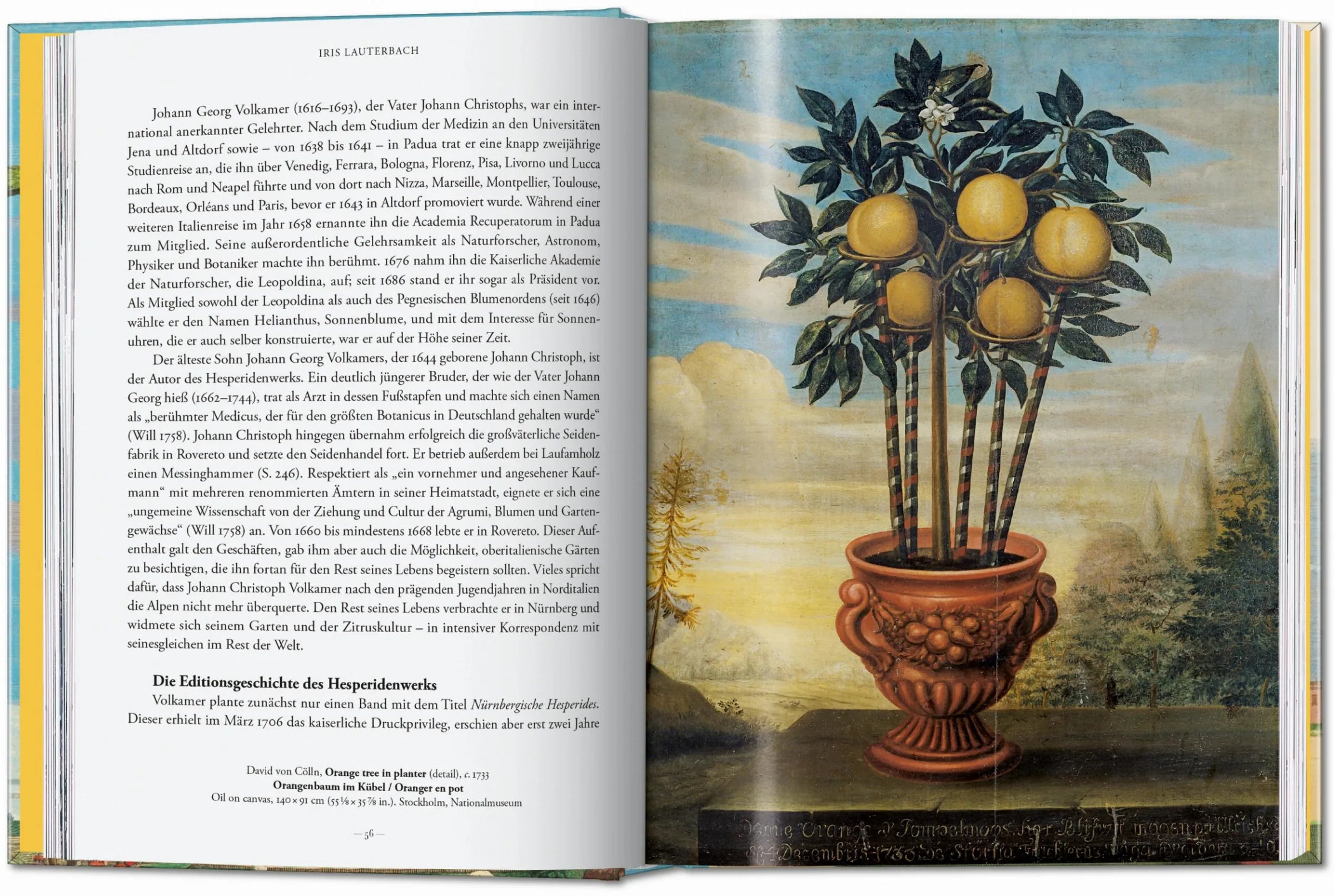 Botanische Illustrationen von Zitronen, Orangen und exotischen Früchten im historischen Stil.