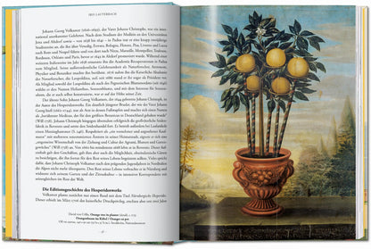 Botanische Illustrationen von Zitronen, Orangen und exotischen Früchten im historischen Stil.