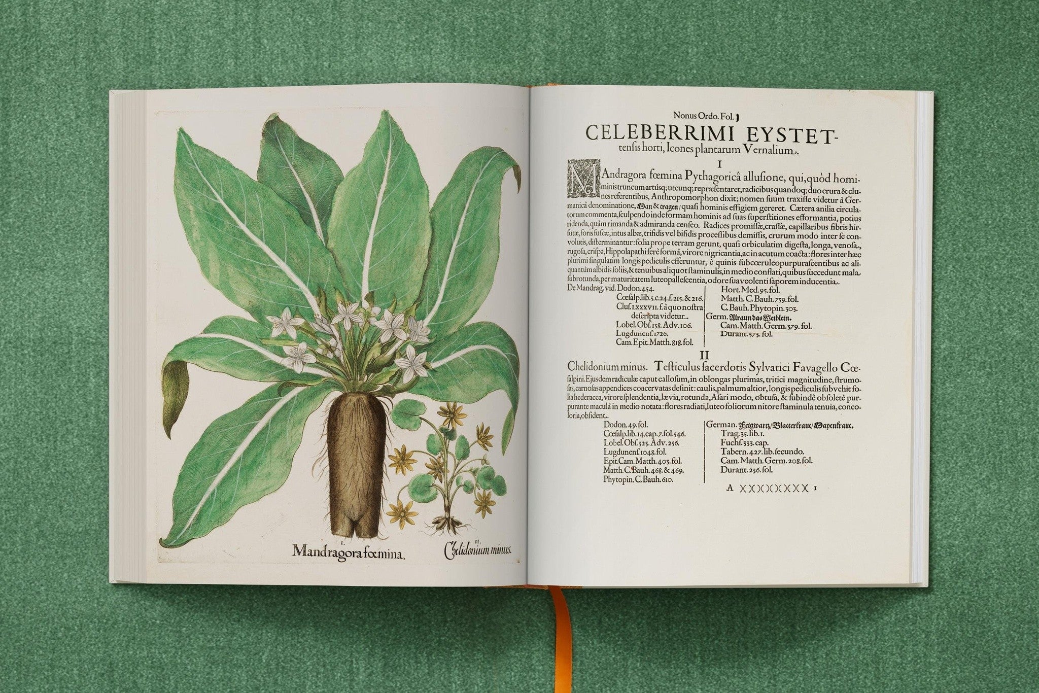 Besler. The Garden at Eichstätt als Geschenkidee für Kunstliebhaber