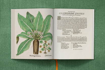 Besler. The Garden at Eichstätt als Geschenkidee für Kunstliebhaber