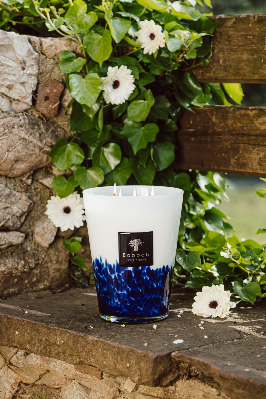 Baobab Collection Frühling