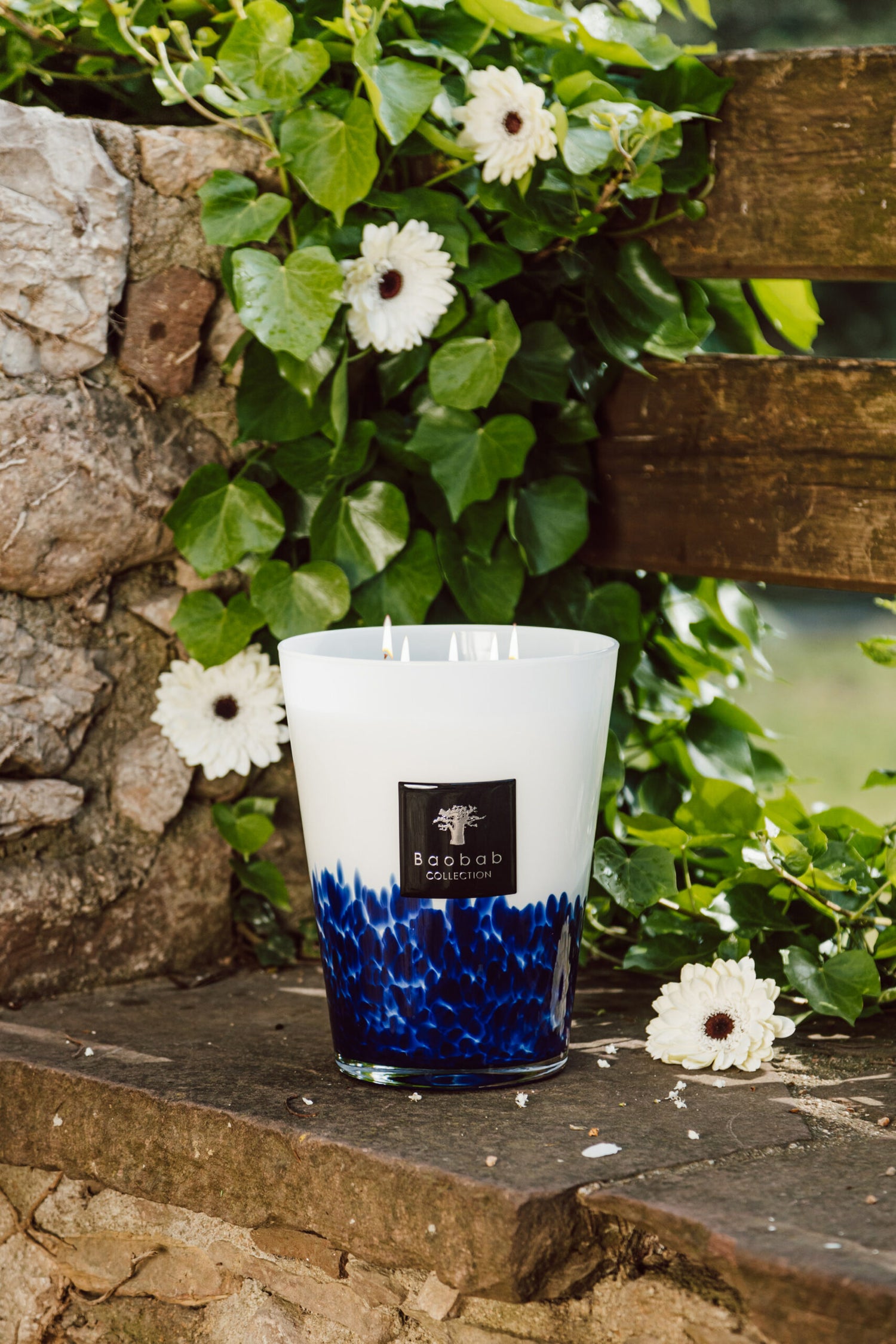 Baobab Collection Frühling