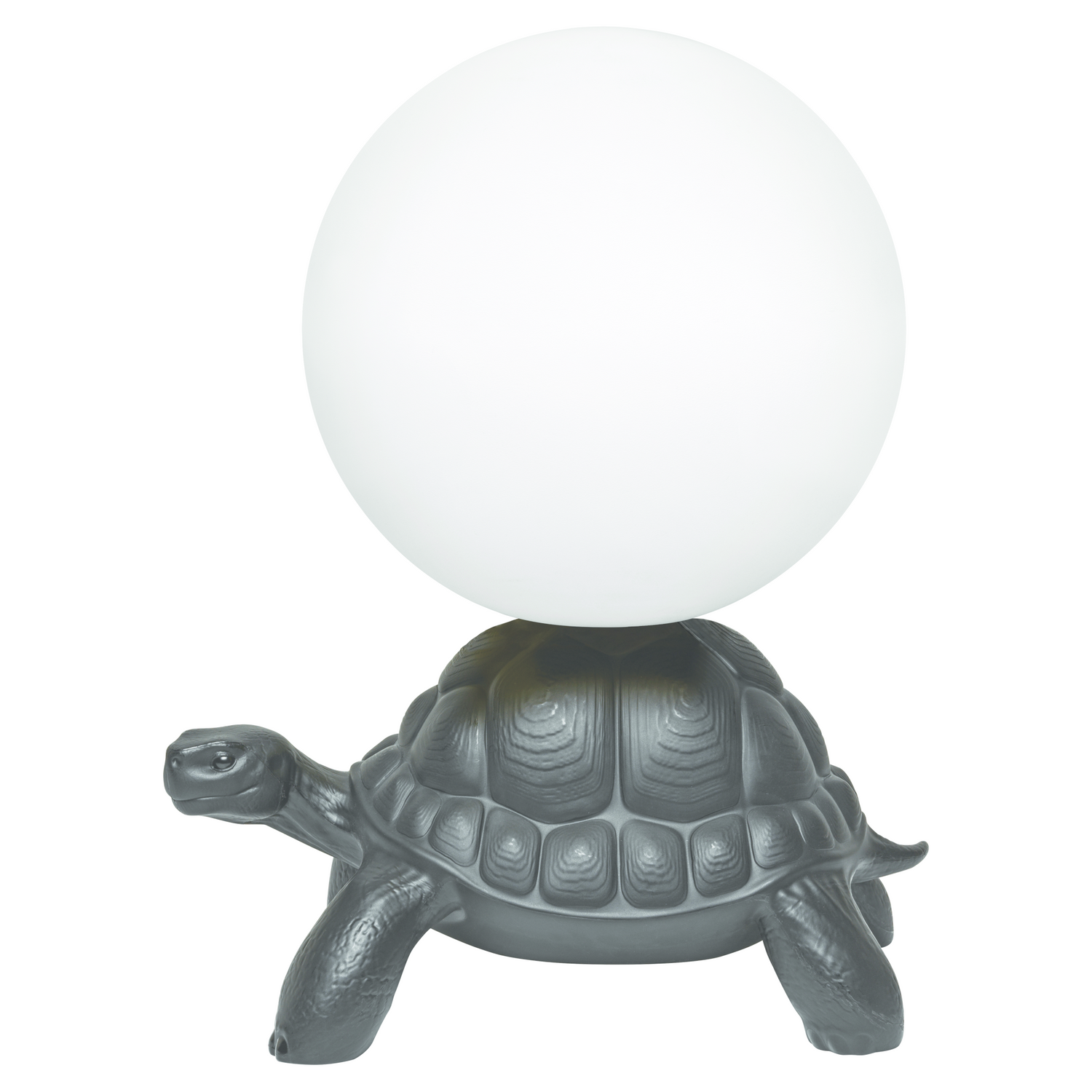 Stimmungslicht mit schwarzer Schildkrötenfigur und diffus leuchtender Kugel