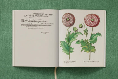 Besler. The Garden at Eichstätt mit wissenschaftlichen Texten