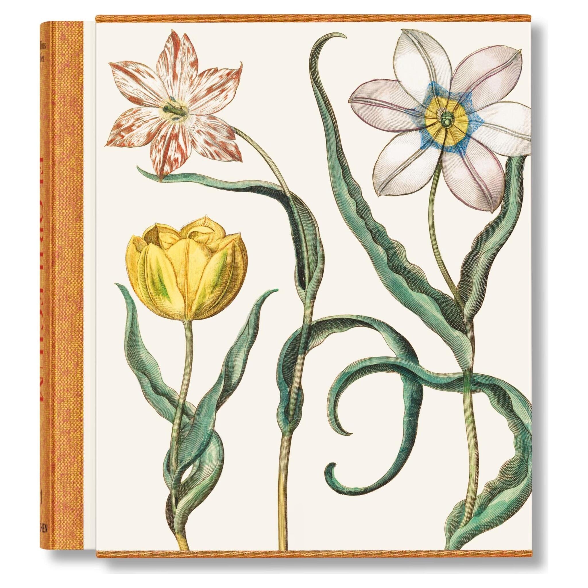 Besler. The Garden at Eichstätt Buch mit botanischen Illustrationen