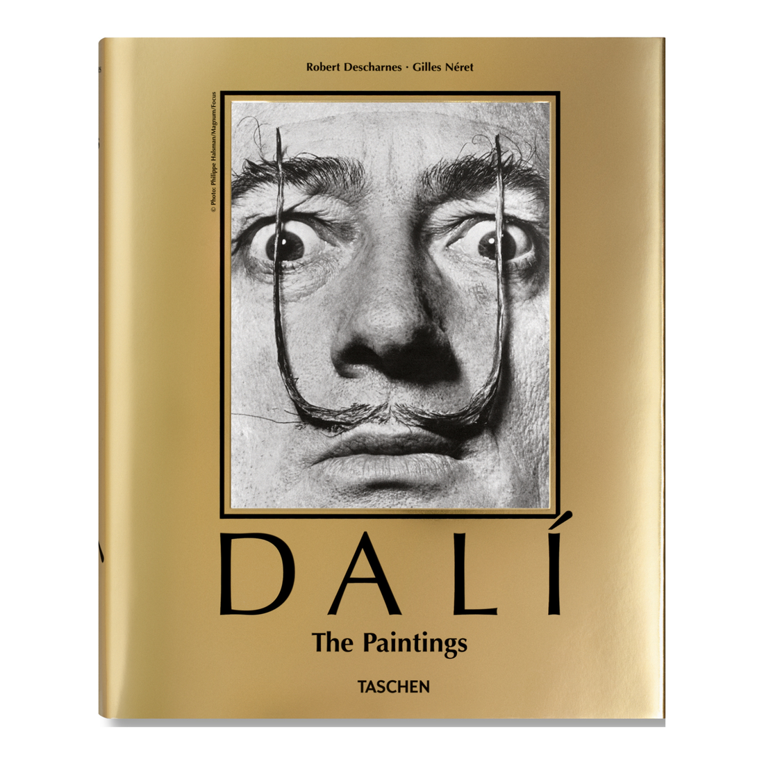 Dalis Buch the paintings in der englischen Version